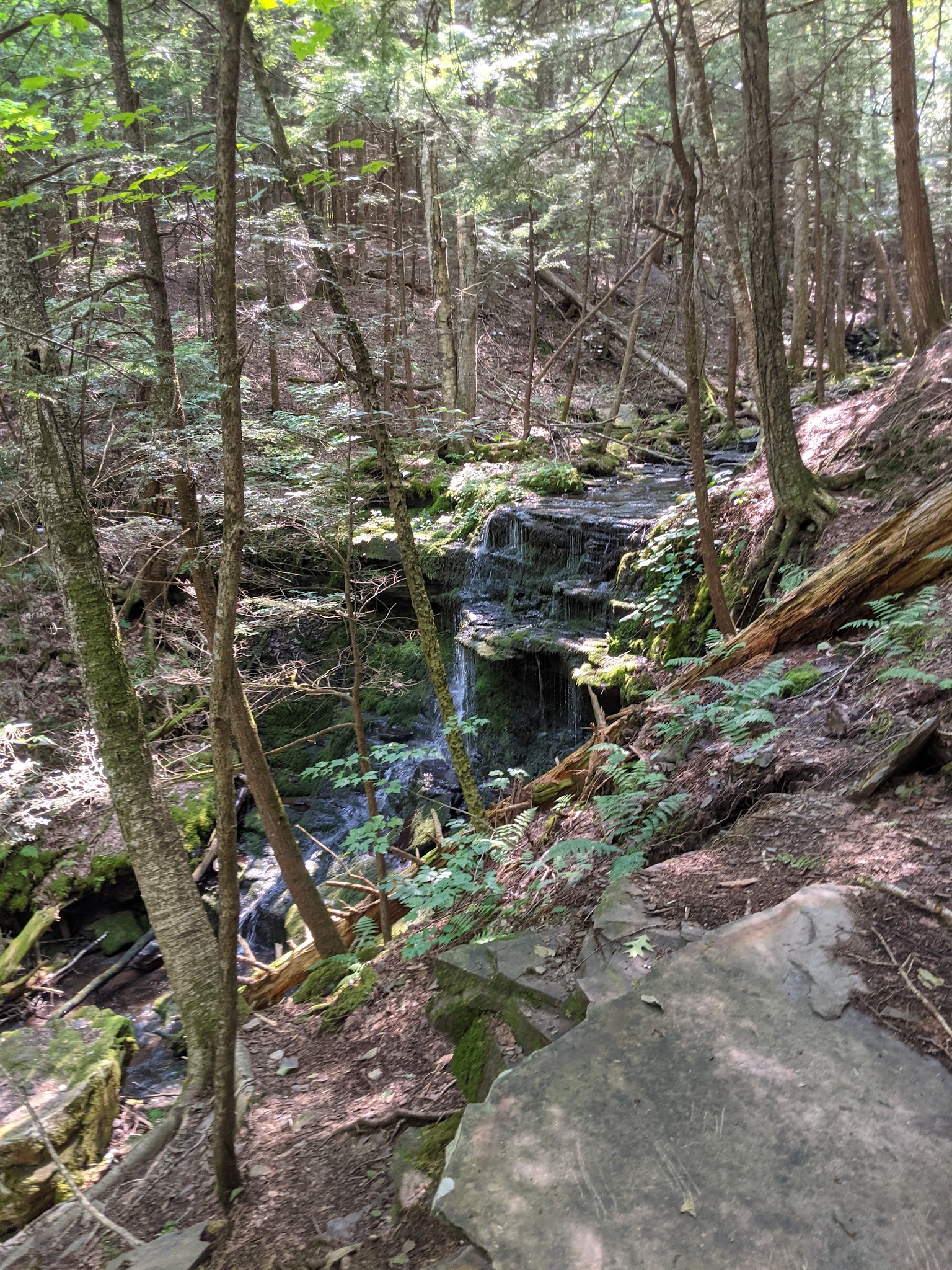 Mud Lake Trail - SR 58 Trailhead - Milford, NY
