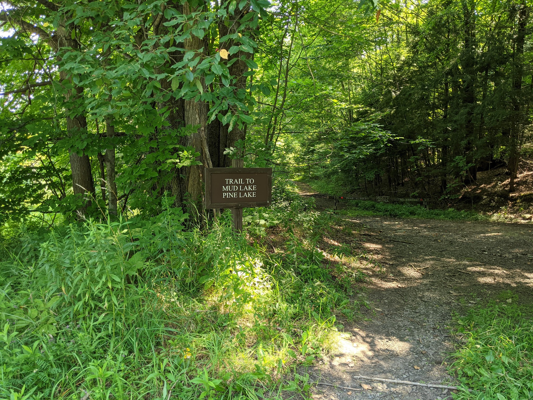 Mud Lake Trail - SR 58 Trailhead - Milford, NY
