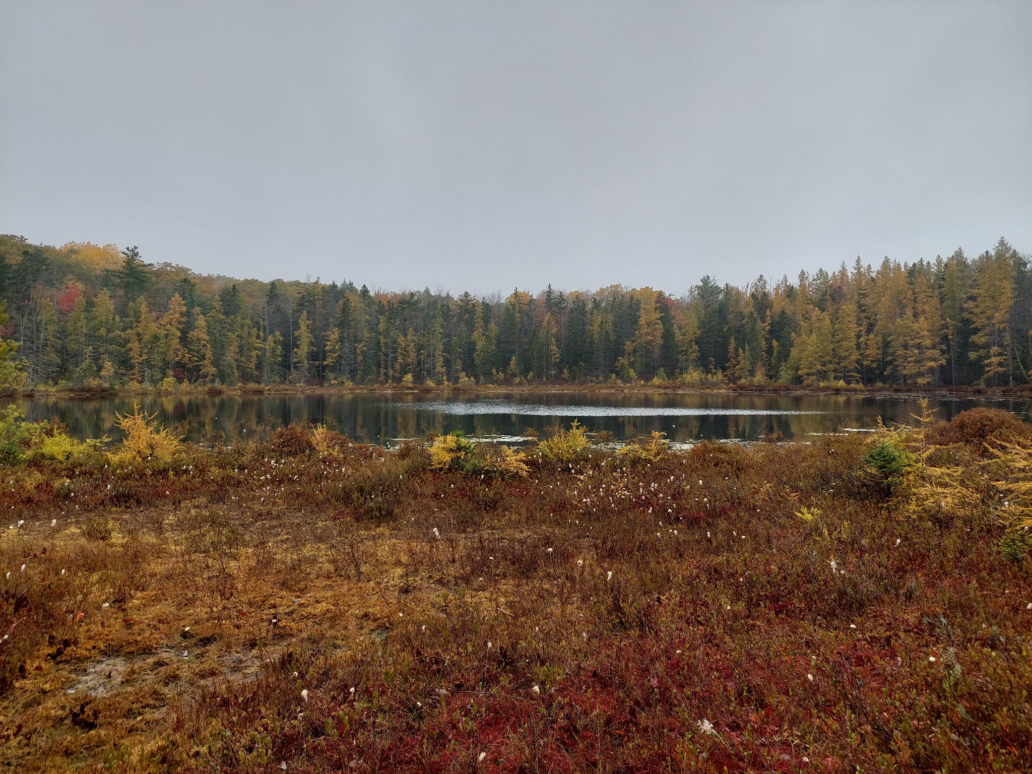 Mud Lake Trail - SR 58 Trailhead - Milford, NY