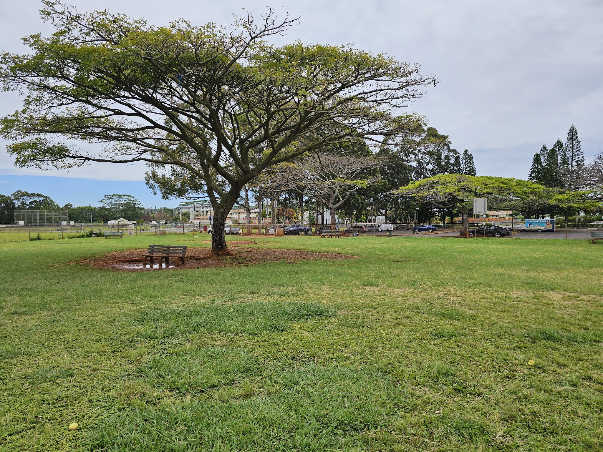 Mililani Dog Park - Mililani, HI