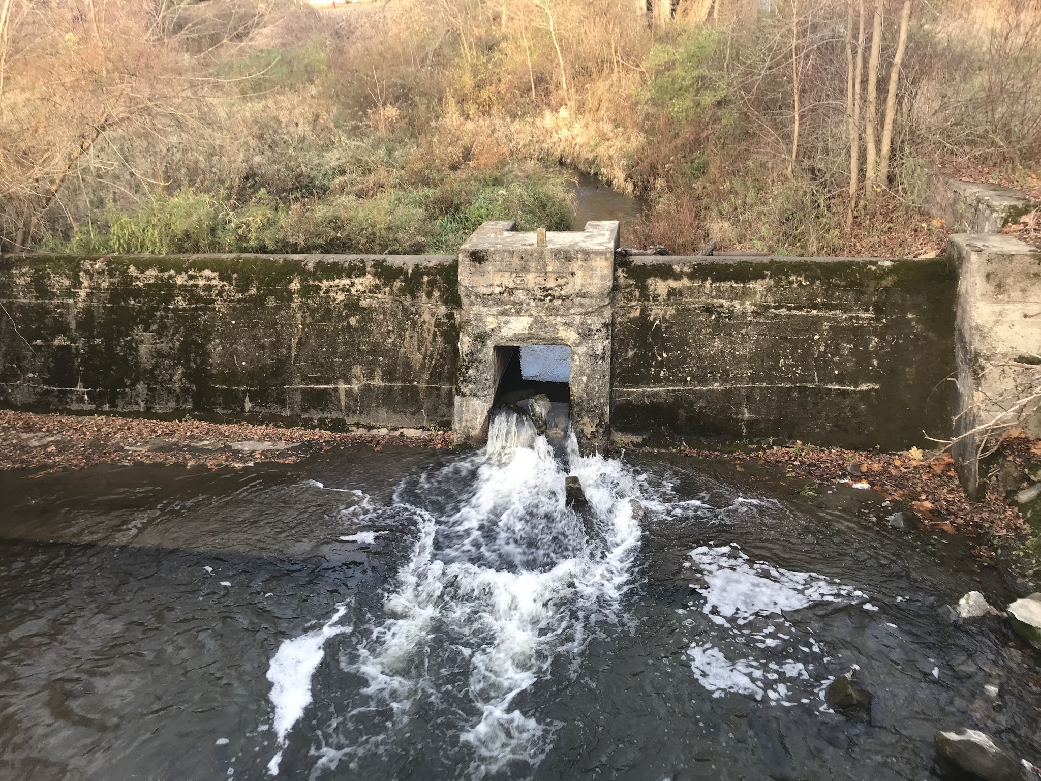 Harlem Valley Rail Trail - Millerton, NY