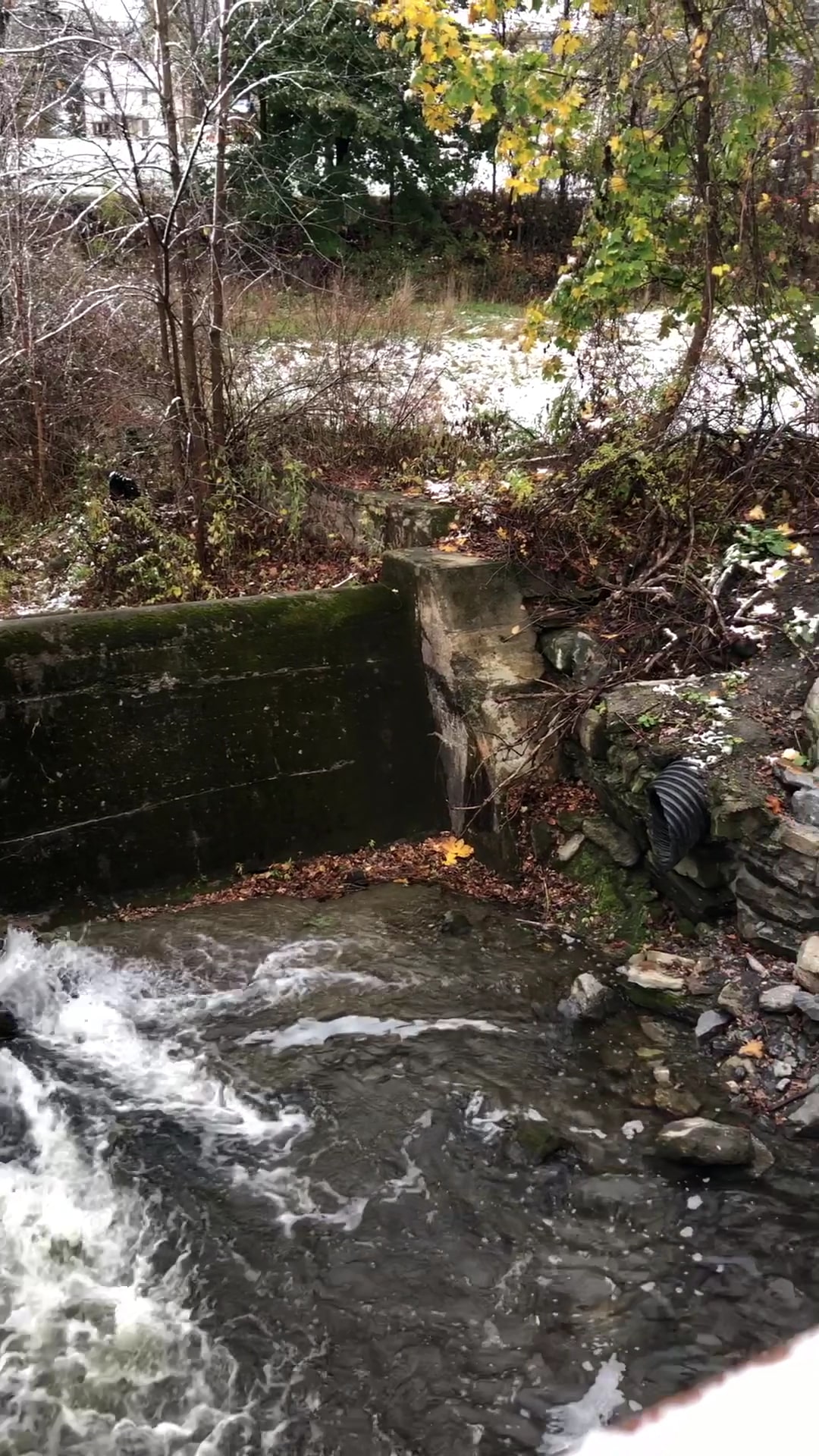 Harlem Valley Rail Trail - Millerton, NY