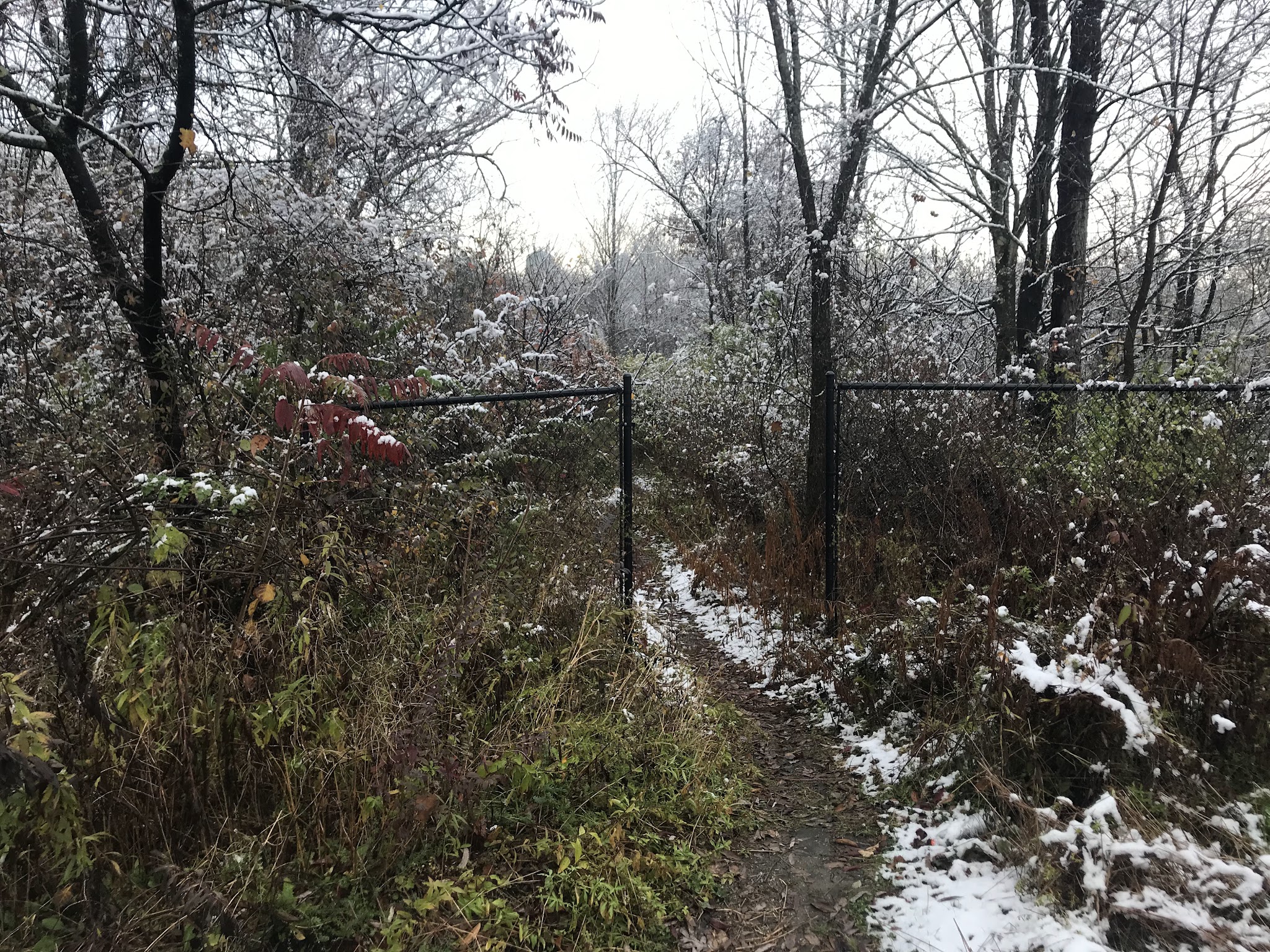Harlem Valley Rail Trail - Millerton, NY
