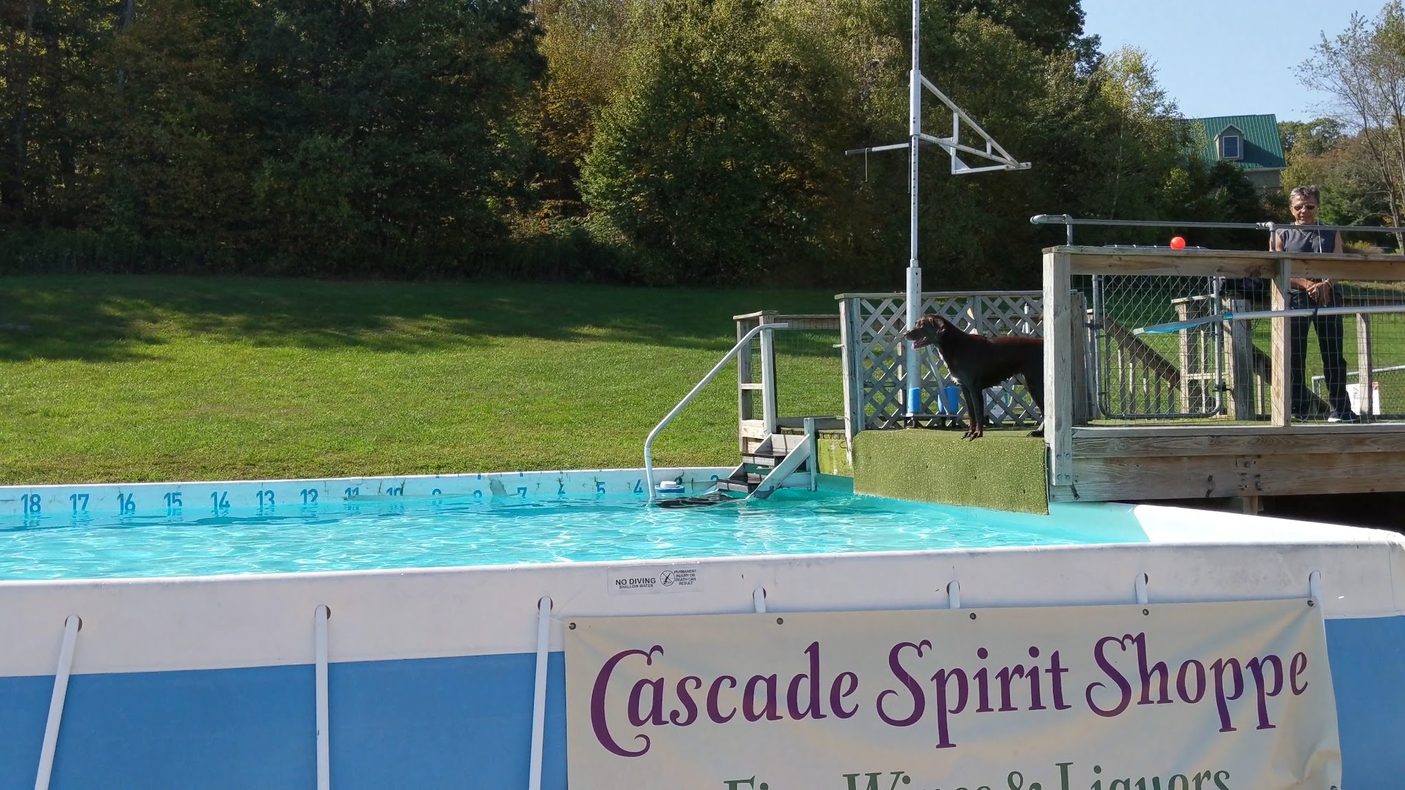 K9 Aqua Sports Club - Millerton, NY