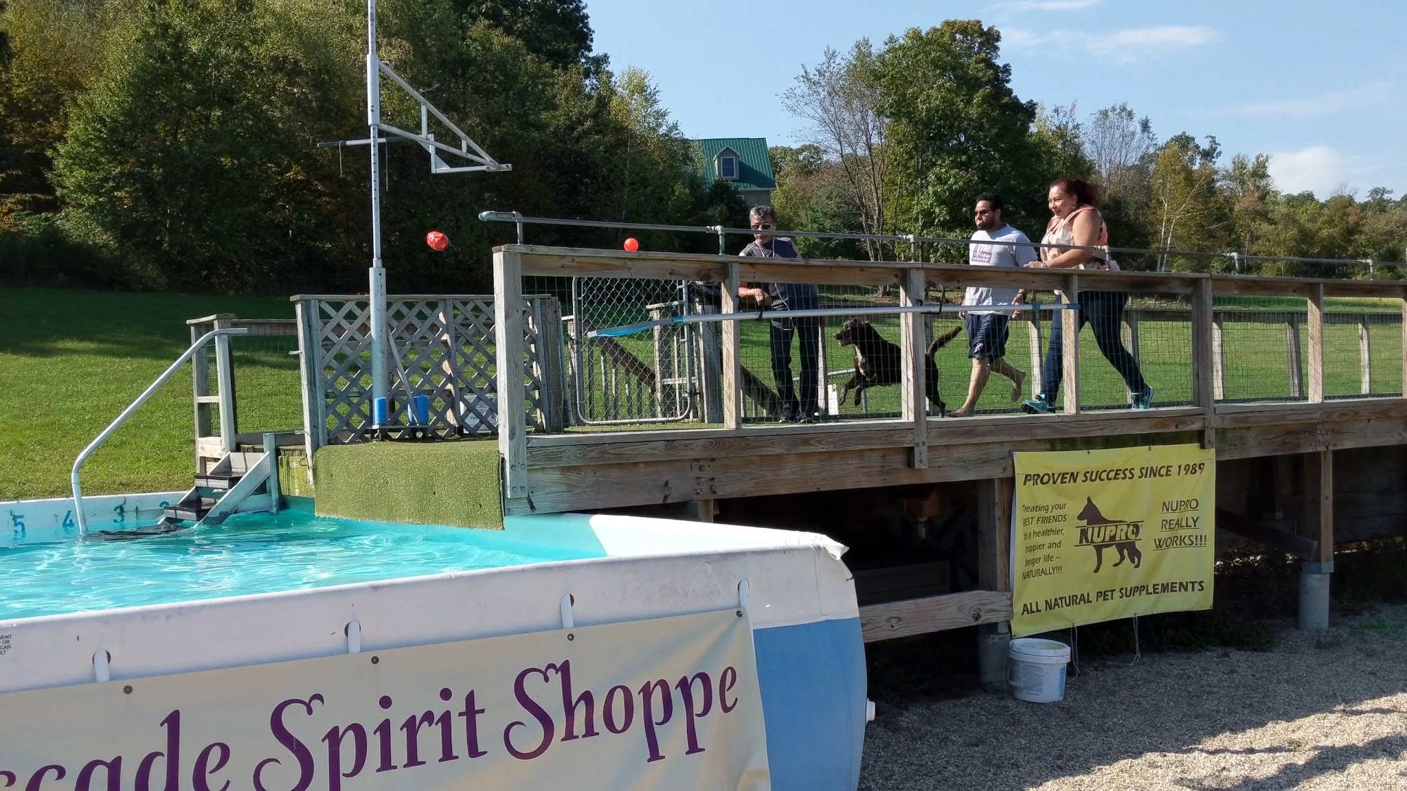 K9 Aqua Sports Club - Millerton, NY