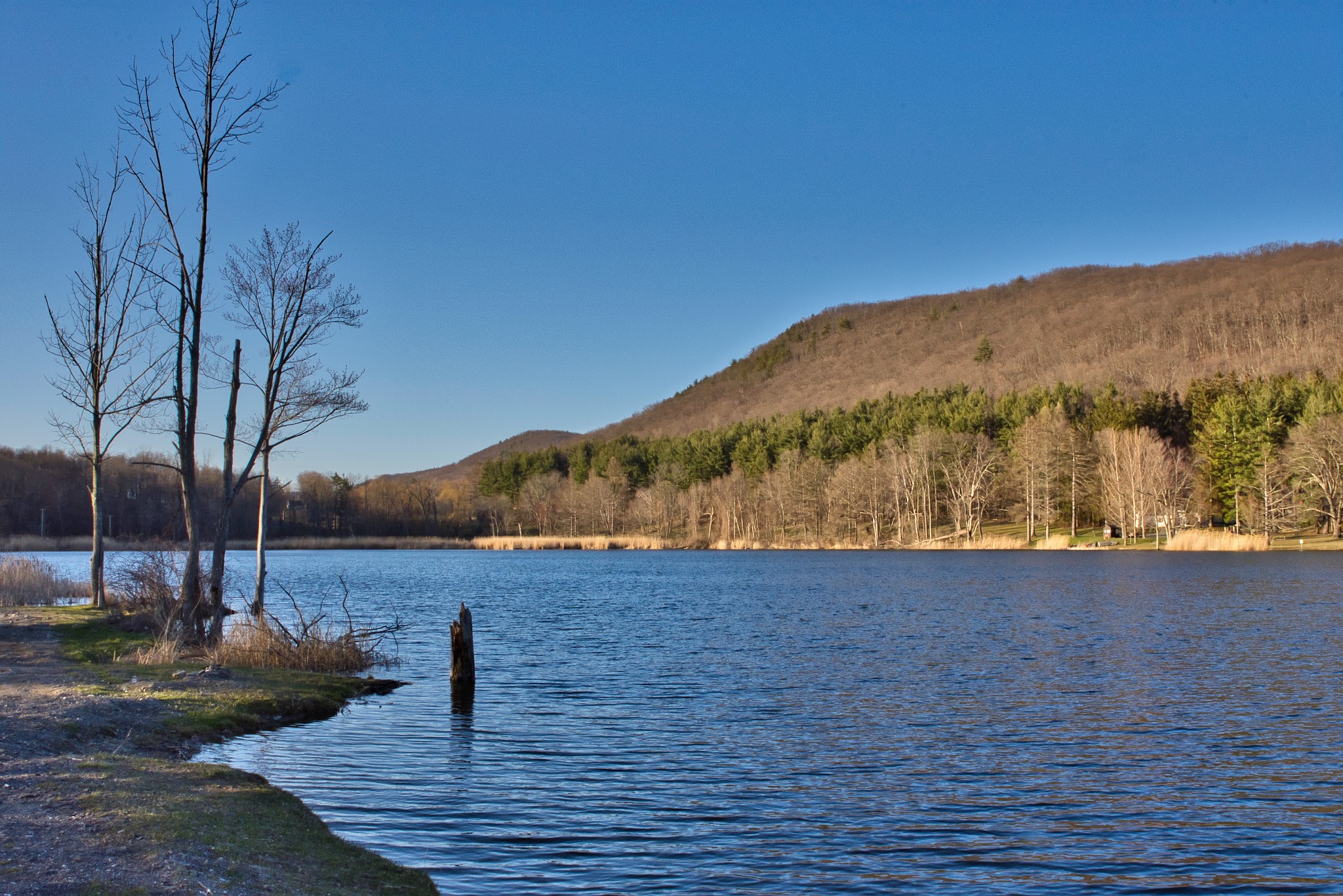 Taconic State Park - Rudd Pond Area - Millerton, NY