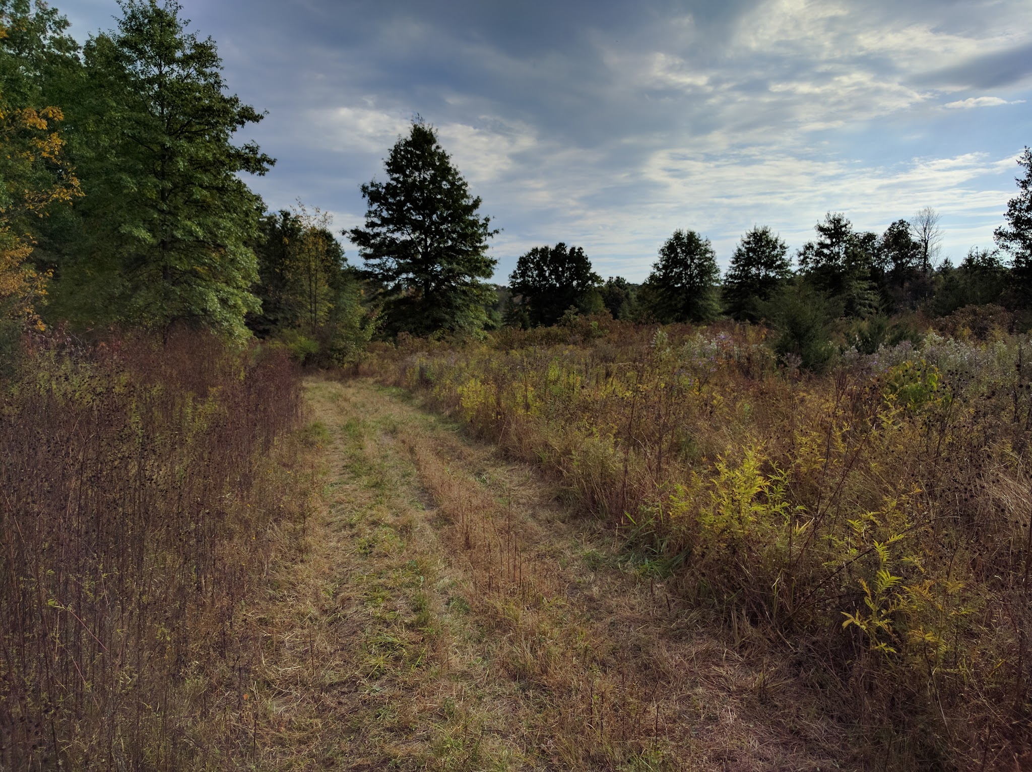 Passaic River County Park - Millington, NJ