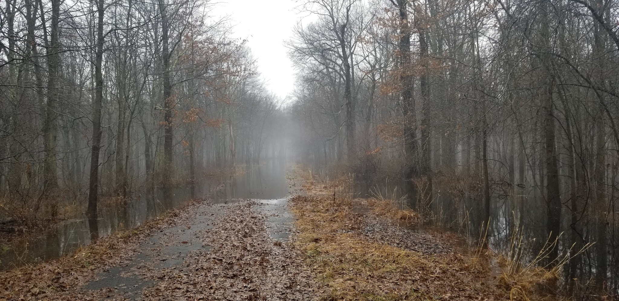 Passaic River County Park - Millington, NJ