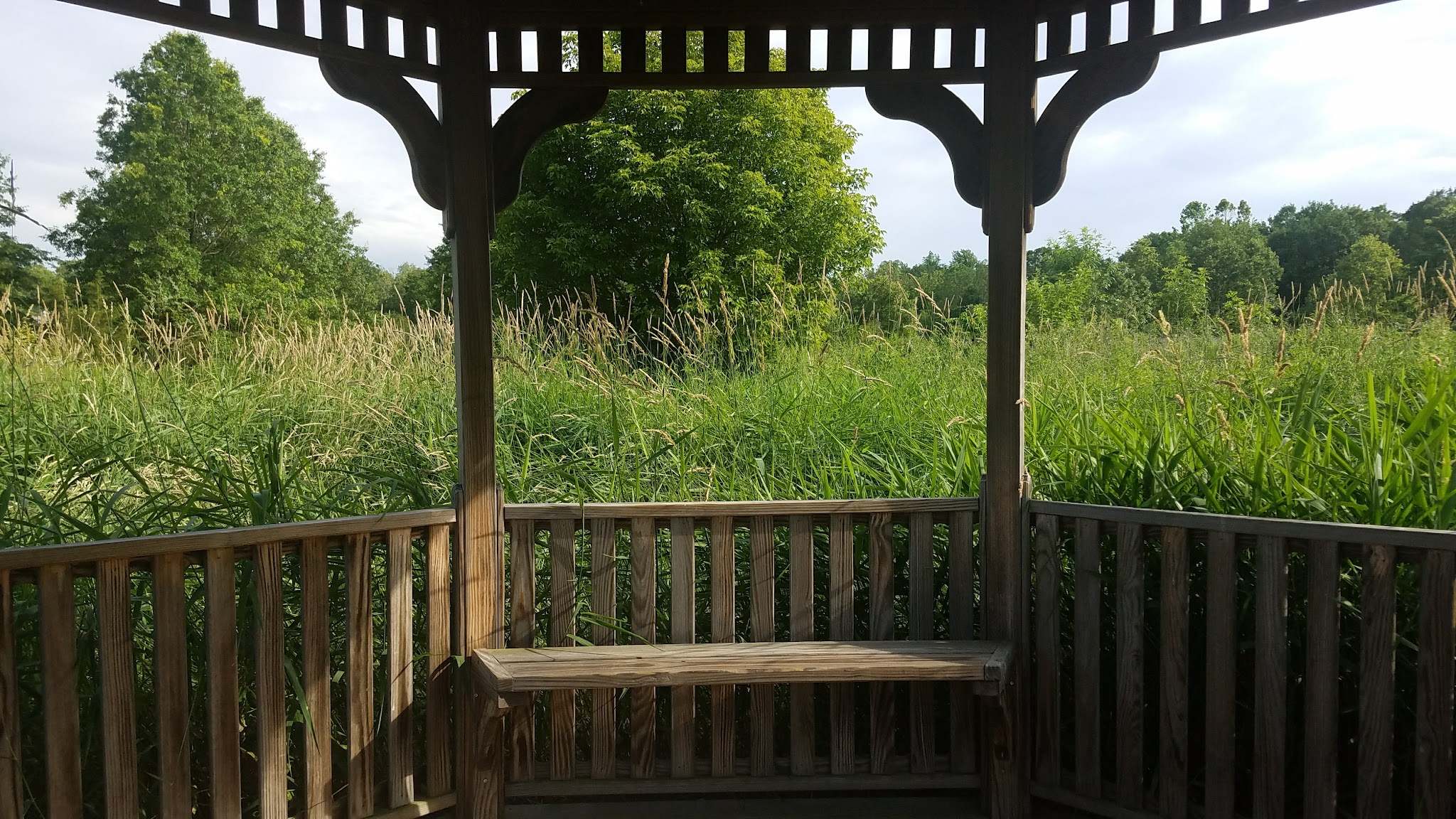 Passaic River County Park - Millington, NJ