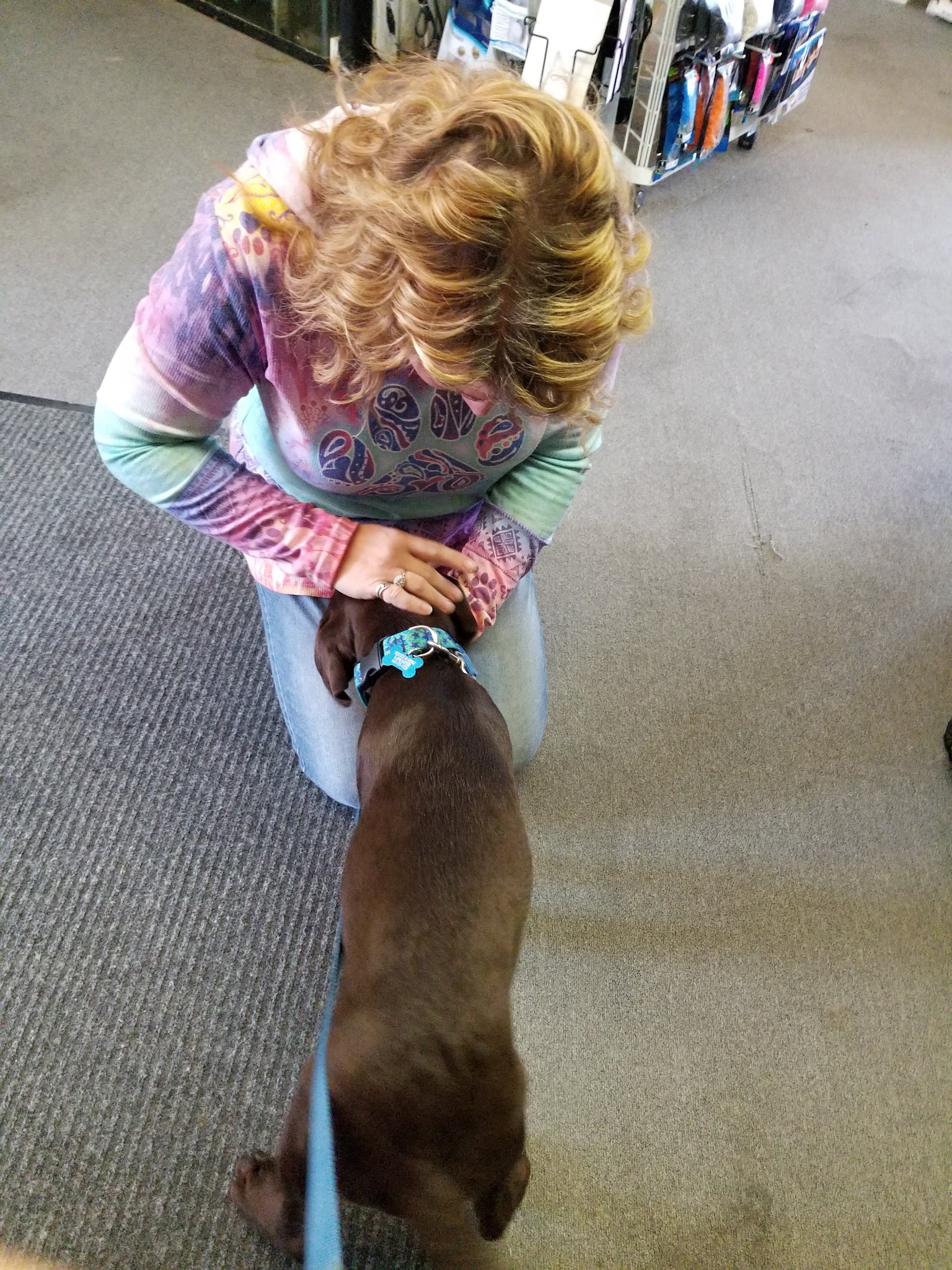 Millville's Pet Stop - Millville, DE