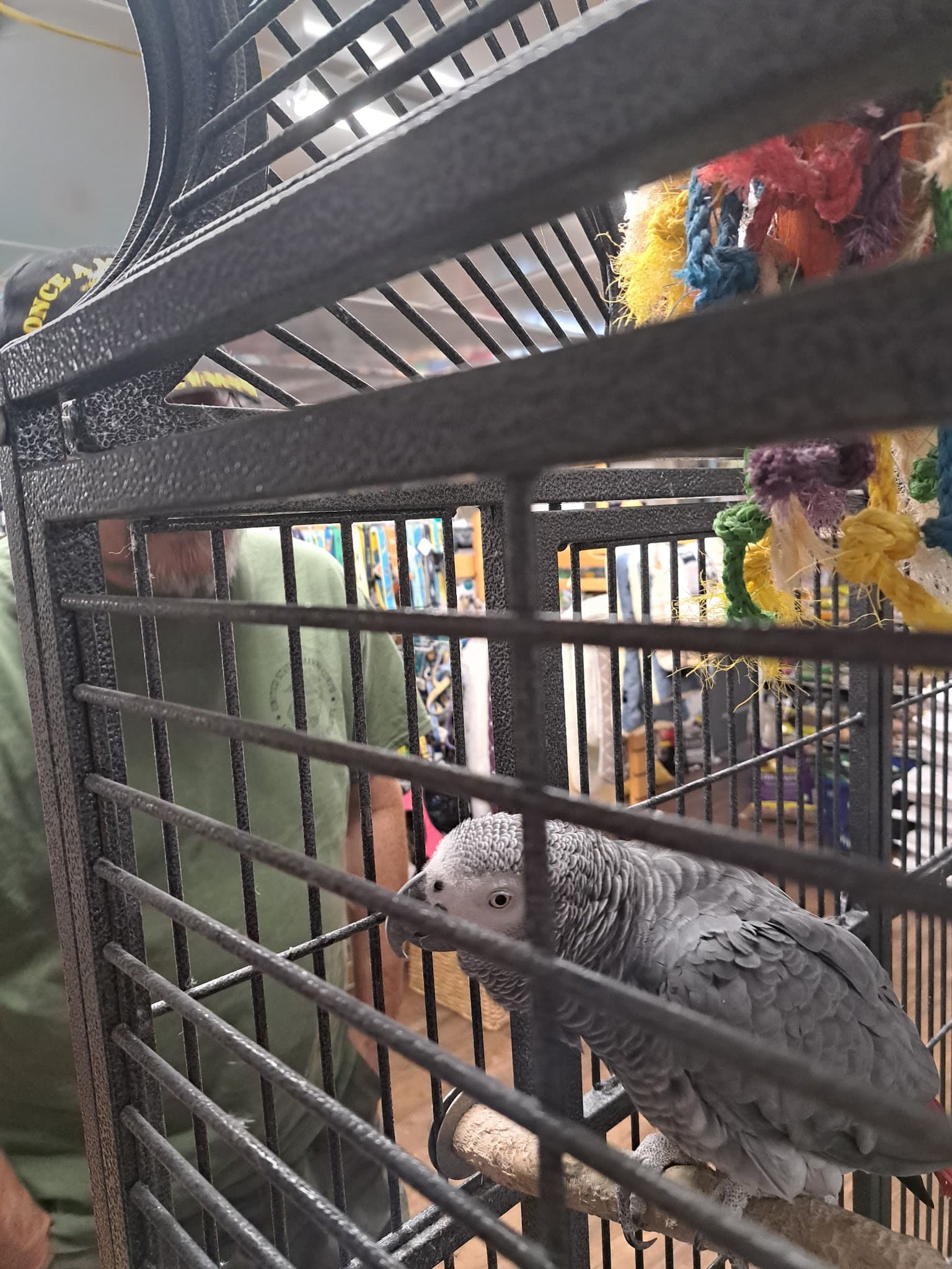 Millville's Pet Stop - Millville, DE