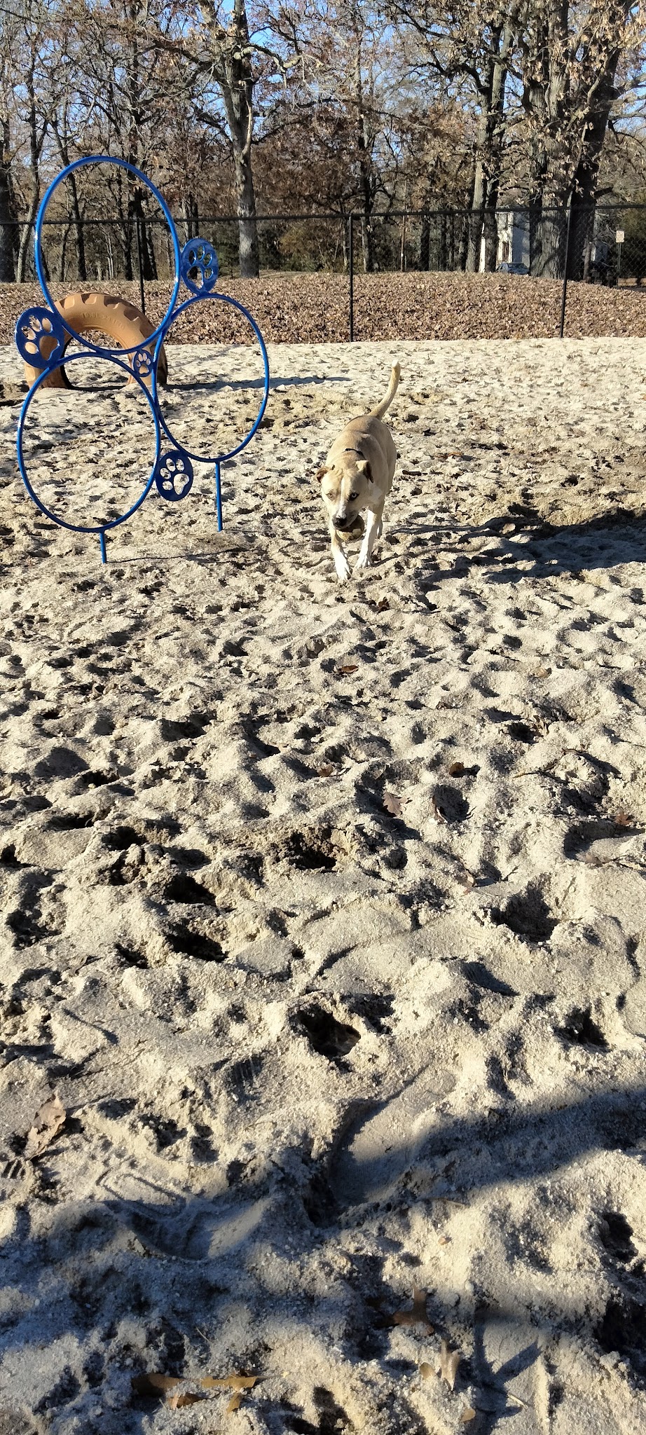 Thunderbolt Bark Park - Millville, NJ