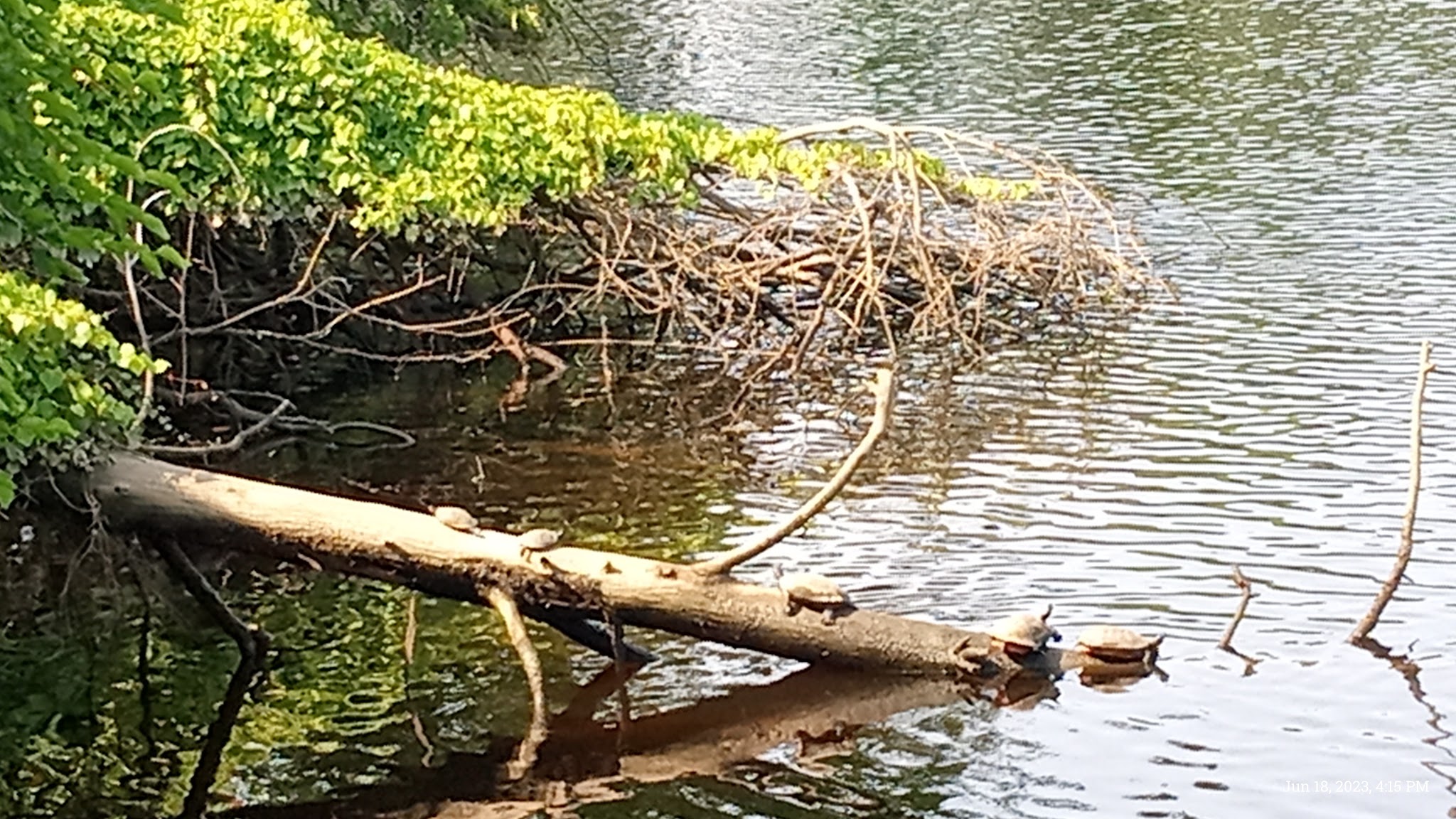 Riverside Park - Millville, NJ