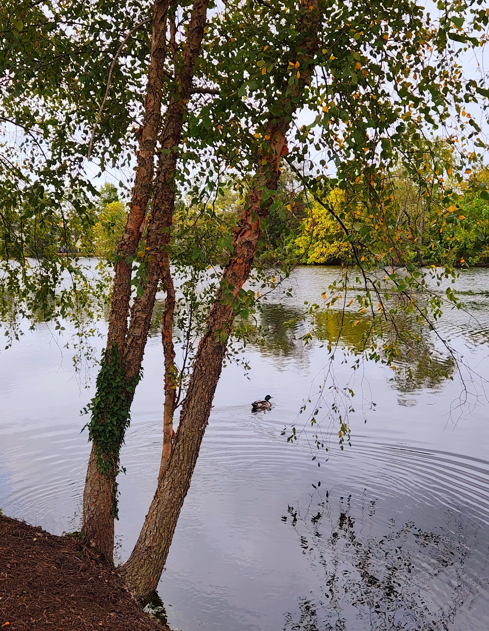Riverside Park - Millville, NJ