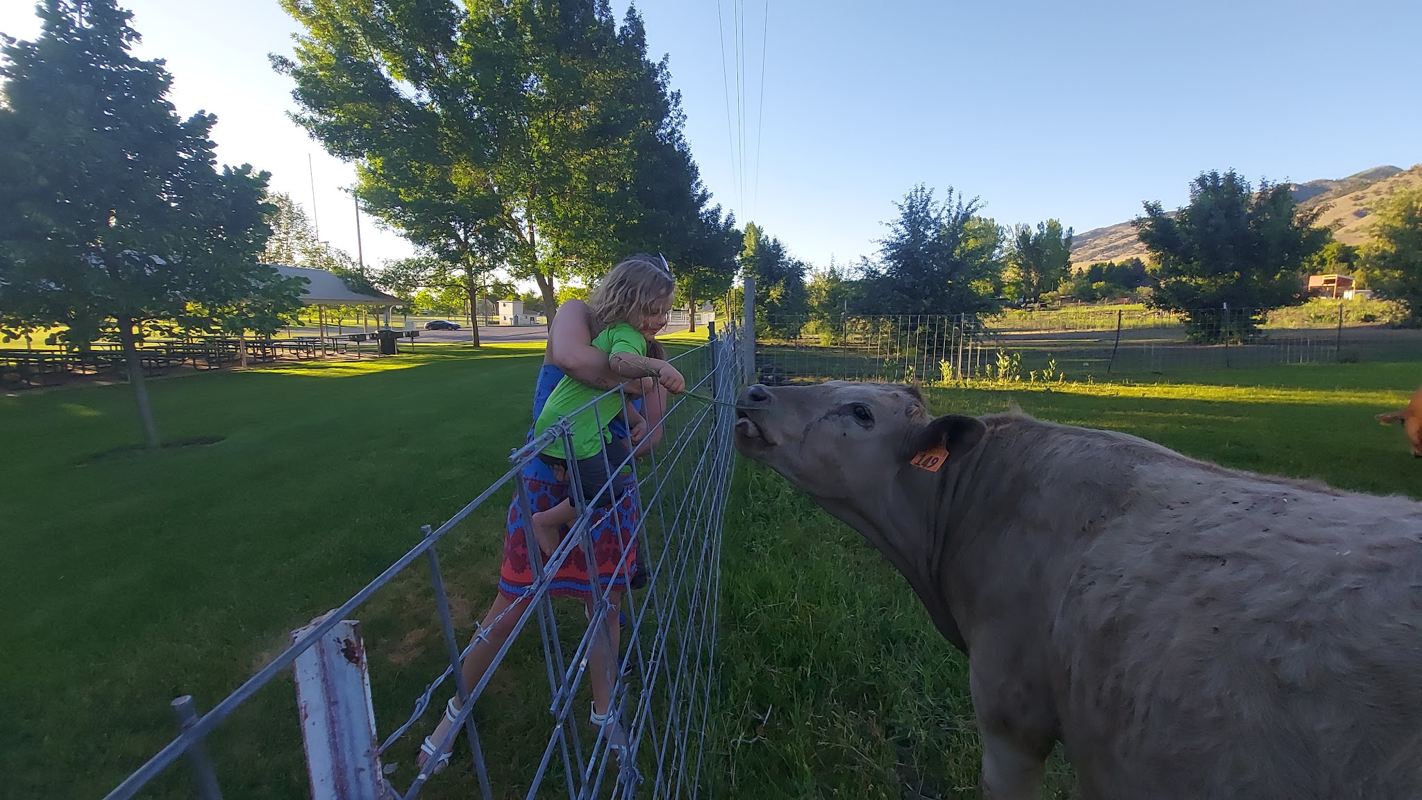 Millville Splash Pad - Millville, UT