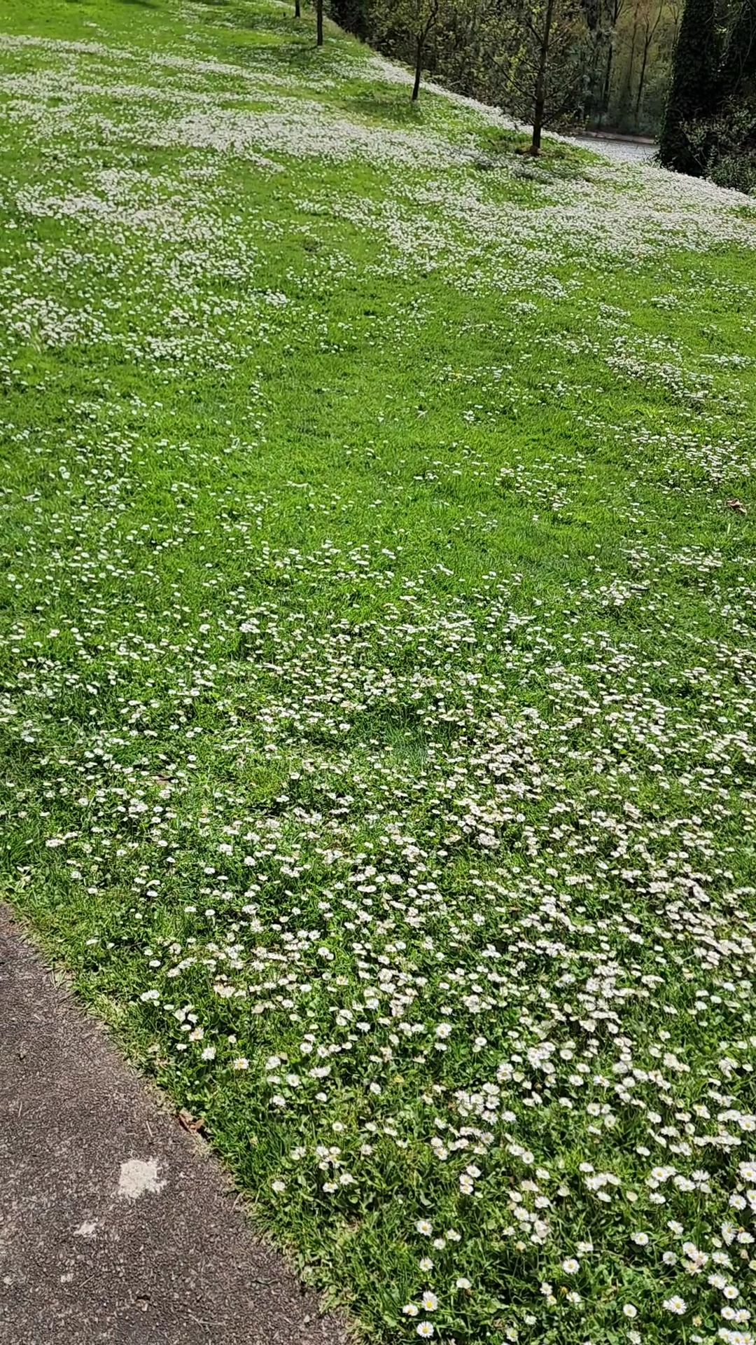 Kellogg Creek Park - Milwaukie, OR