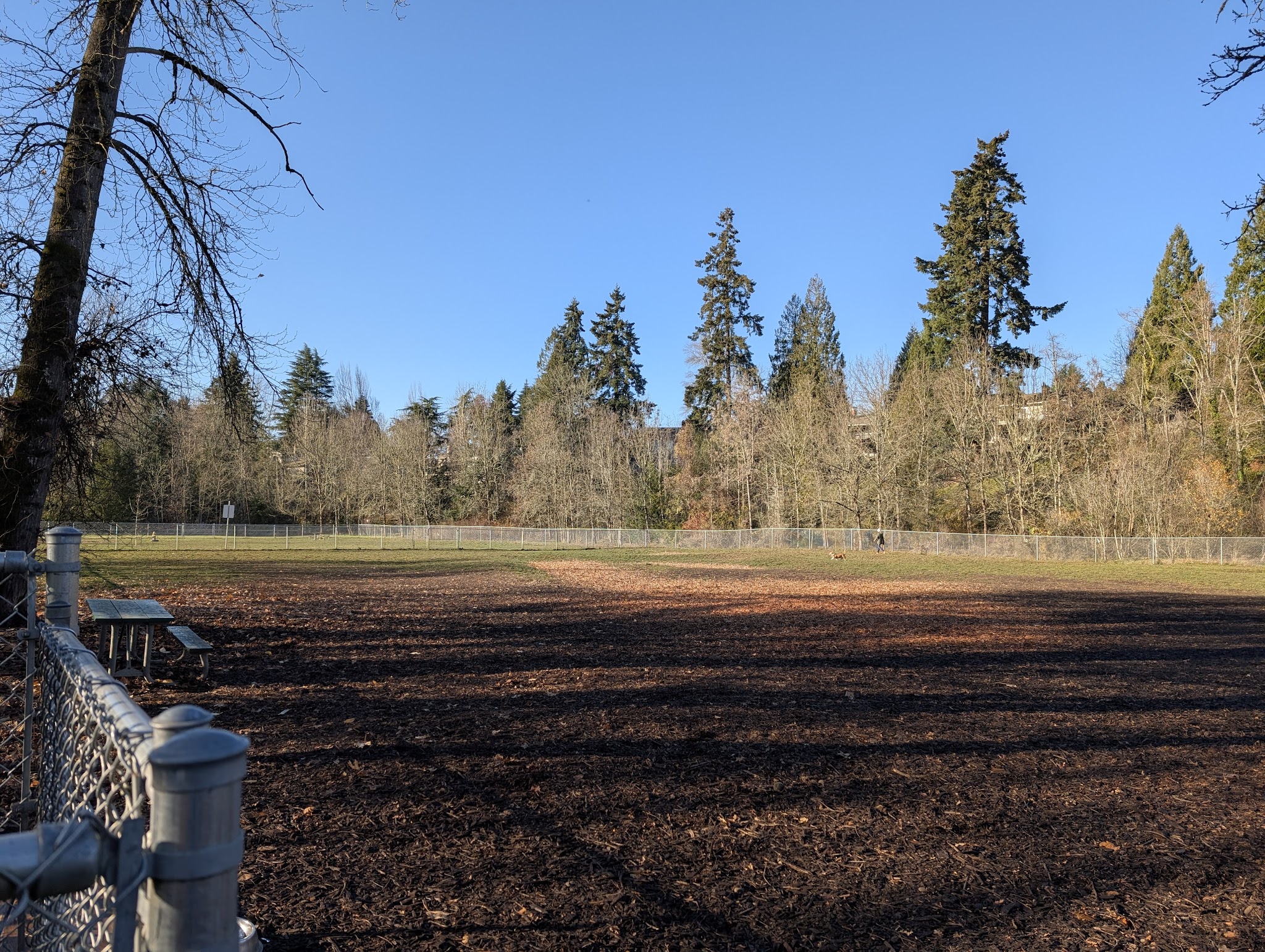 North Clackamas Parks and Recreation Off-Leash Dog Park - Milwaukie, OR