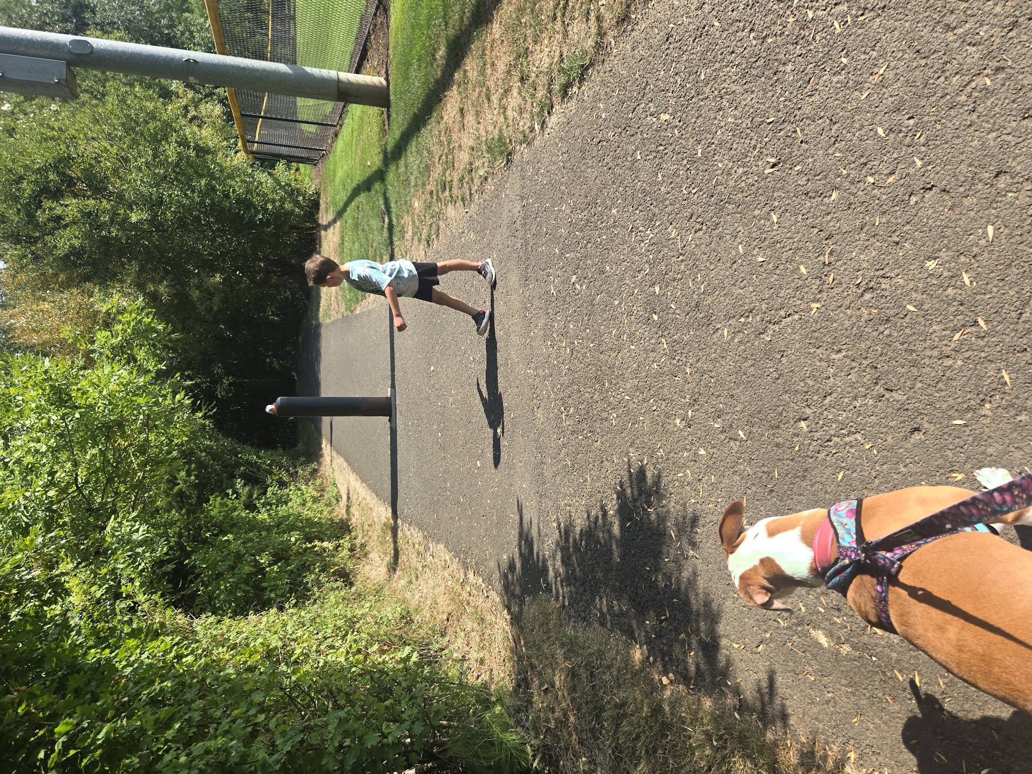 North Clackamas Parks and Recreation Off-Leash Dog Park - Milwaukie, OR