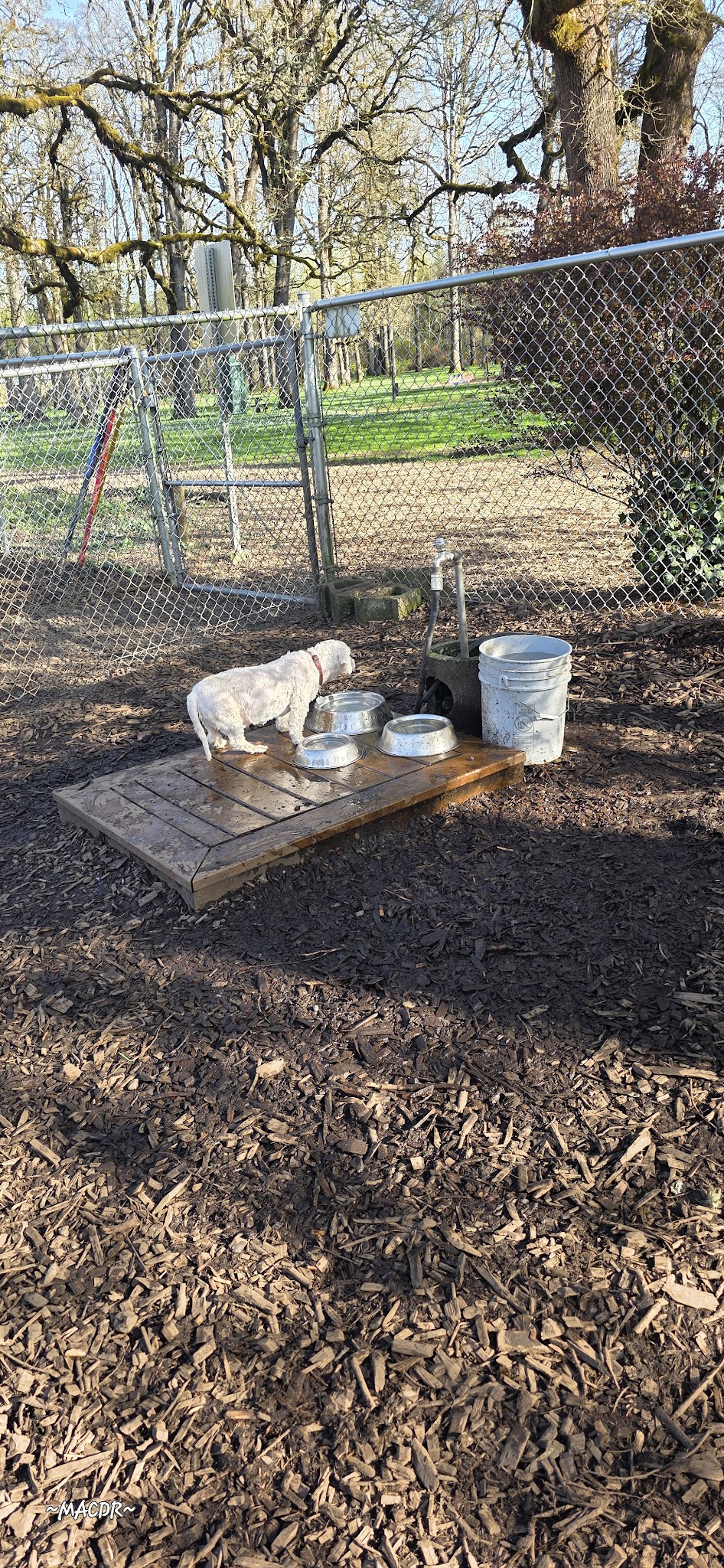 North Clackamas Parks and Recreation Off-Leash Dog Park - Milwaukie, OR