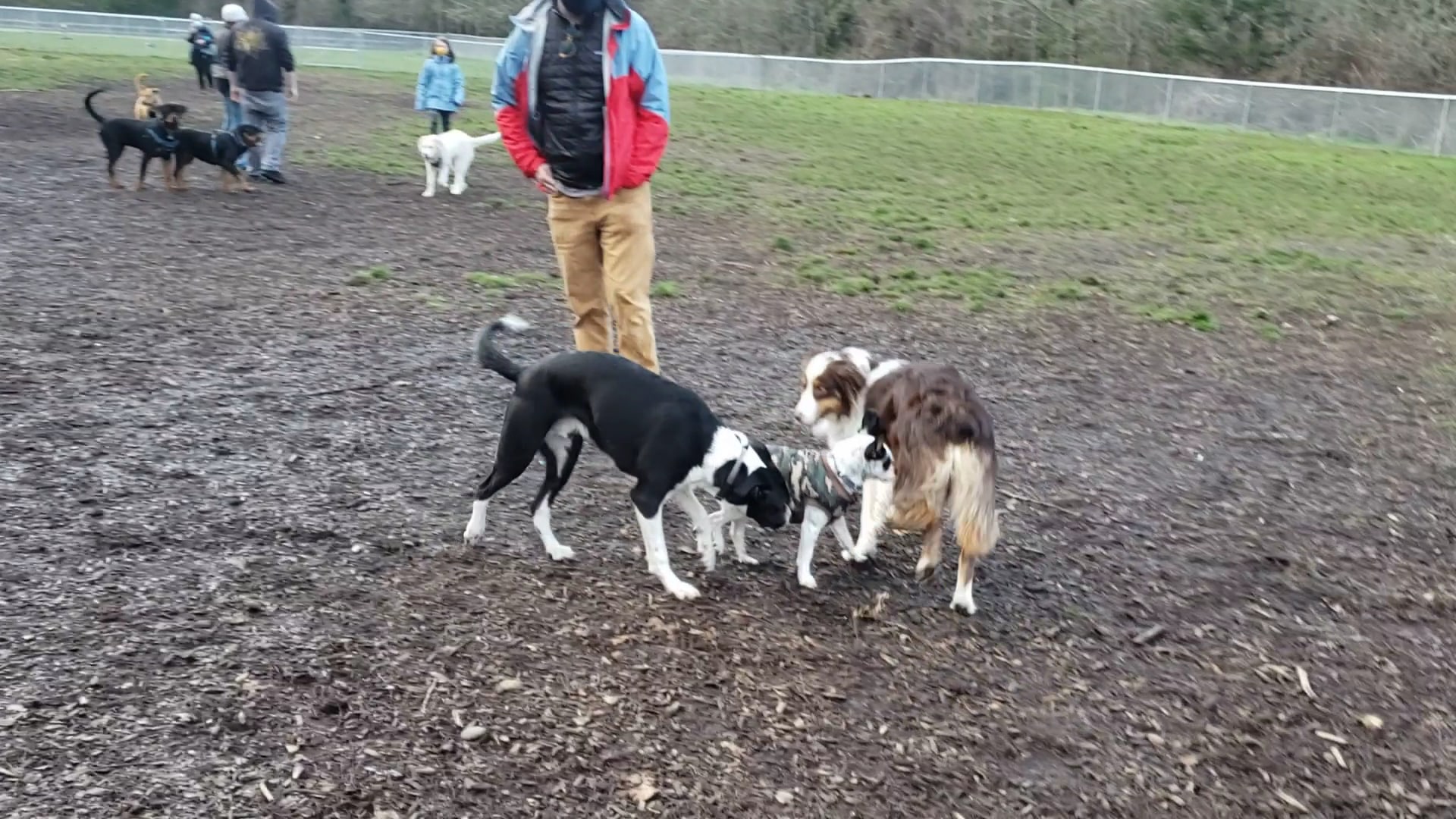 North Clackamas Parks & Recreation District - Milwaukie, OR