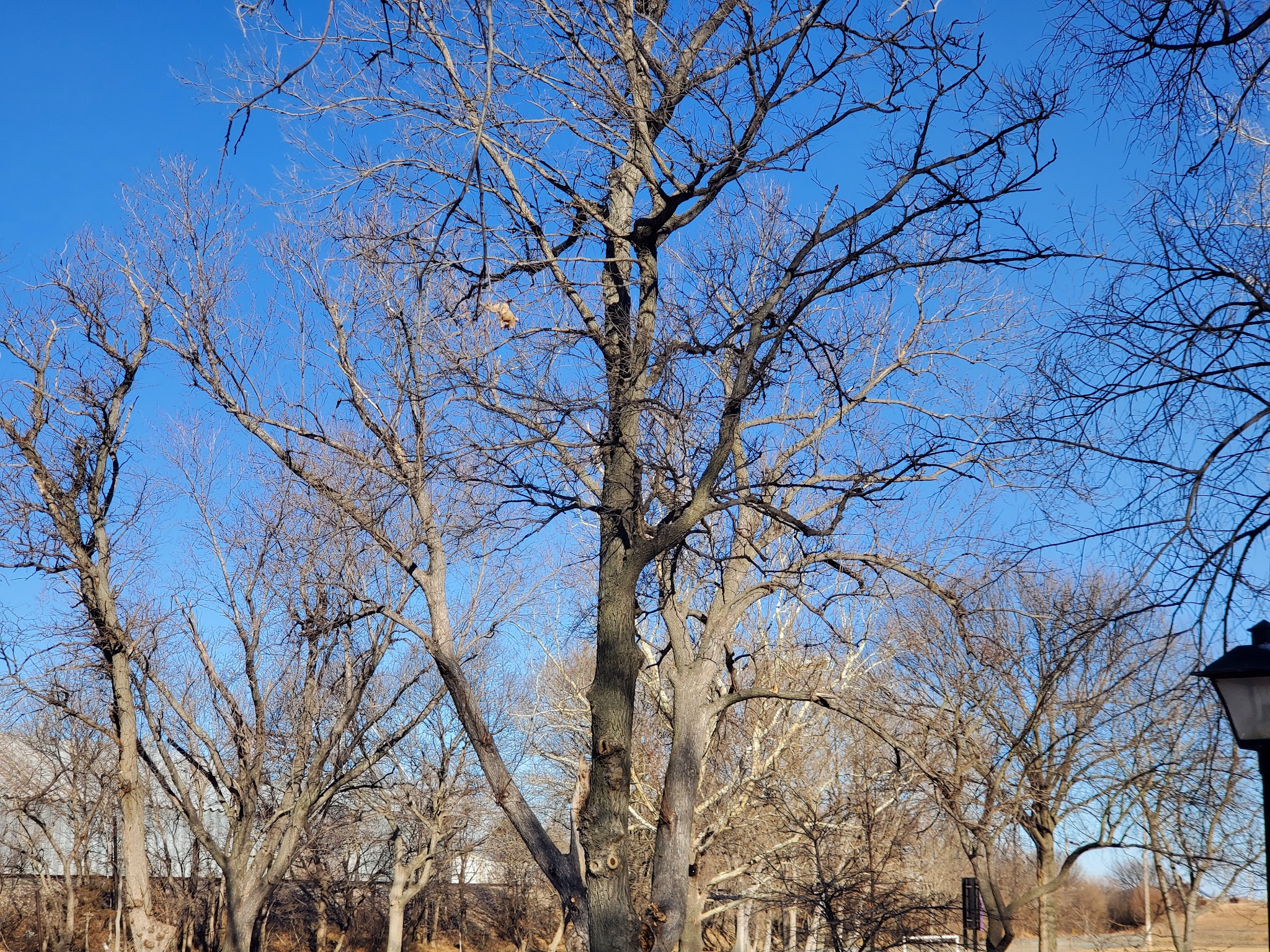 Augie Nelson Park - Minden, NE