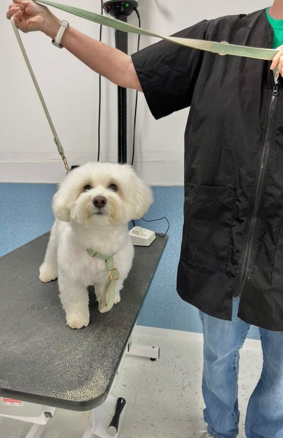 Barks & Rec - North Loop - Minneapolis, MN