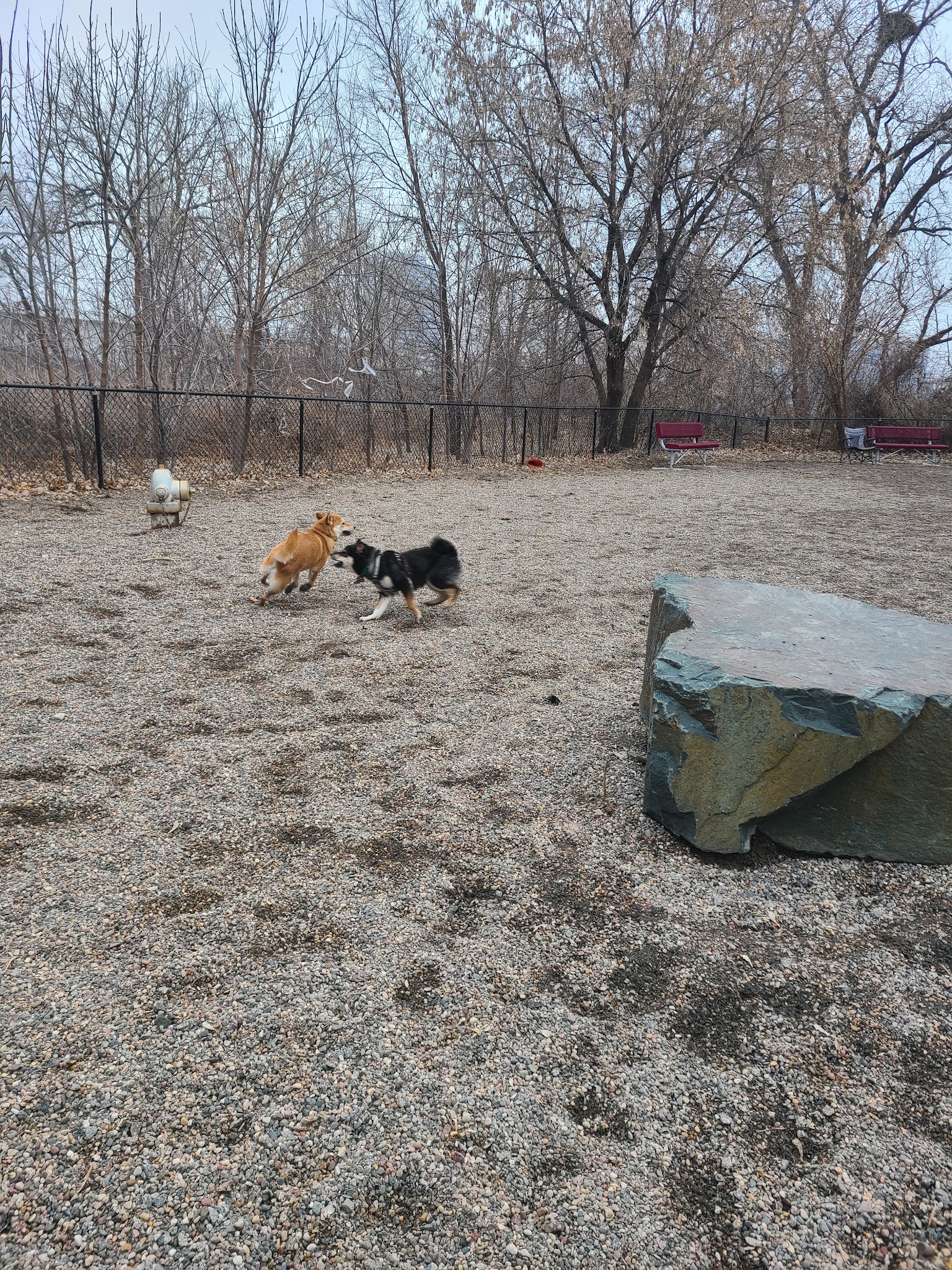 Stone Arch Dog Park - Minneapolis, MN