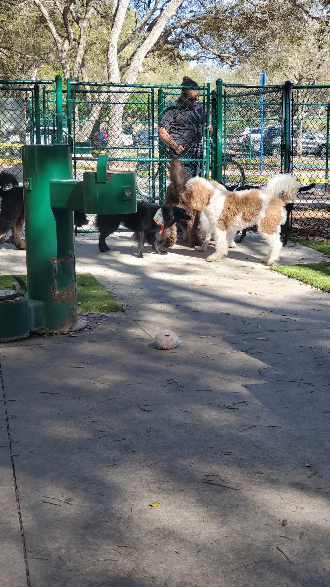 Minneola Dog park - Minneola, FL