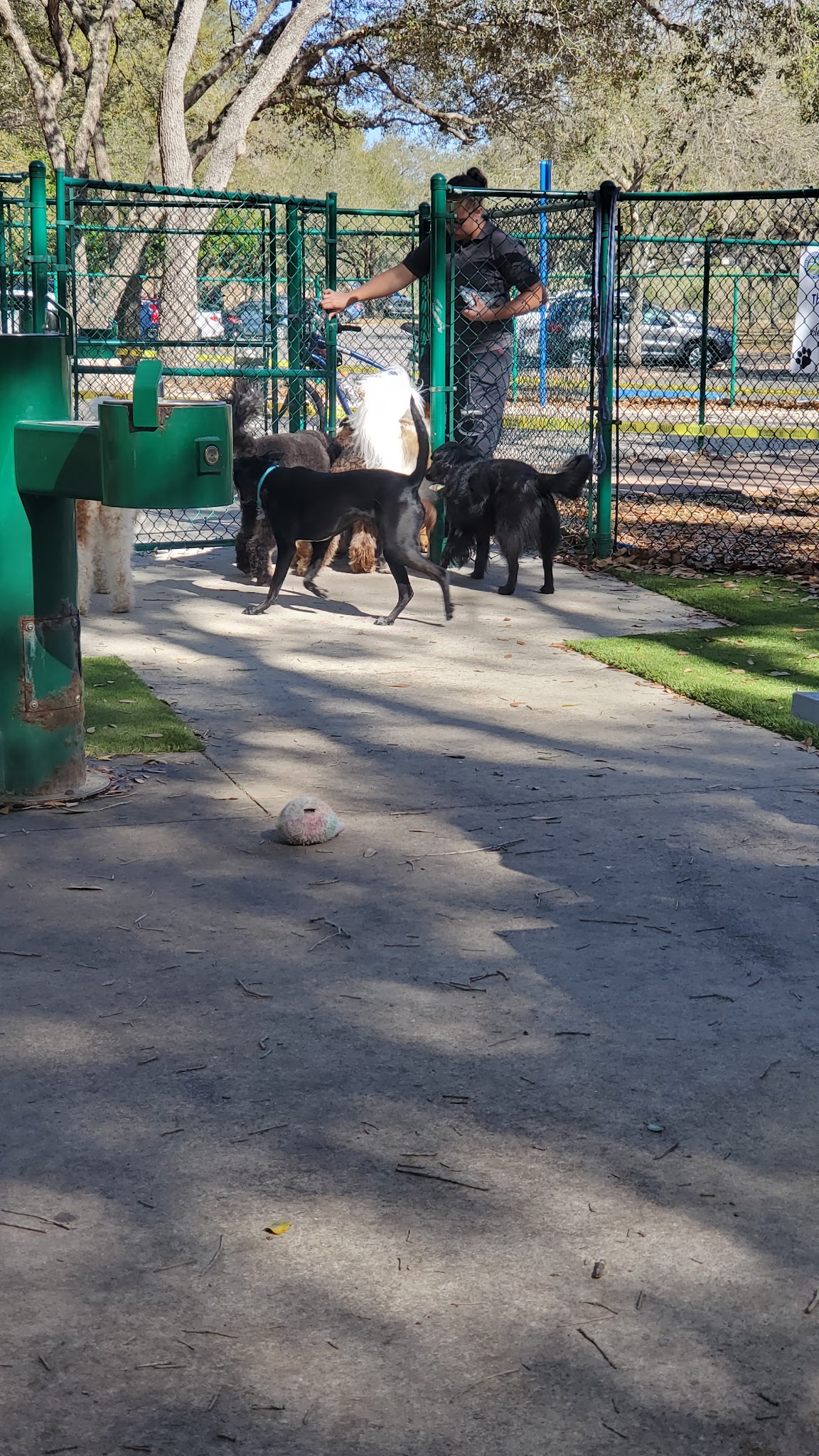 Minneola Dog park - Minneola, FL