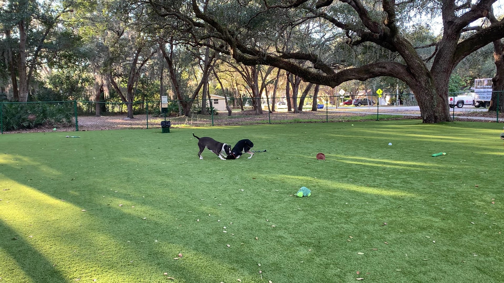 Minneola Dog park - Minneola, FL