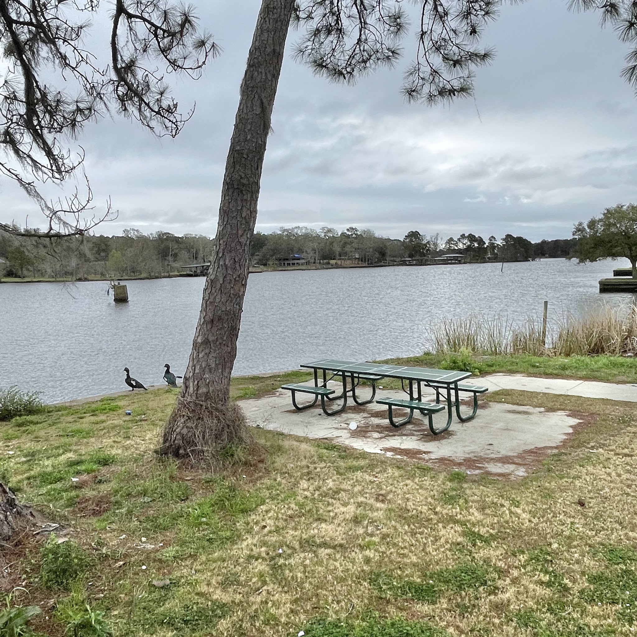 Dog River Park - Mobile, AL