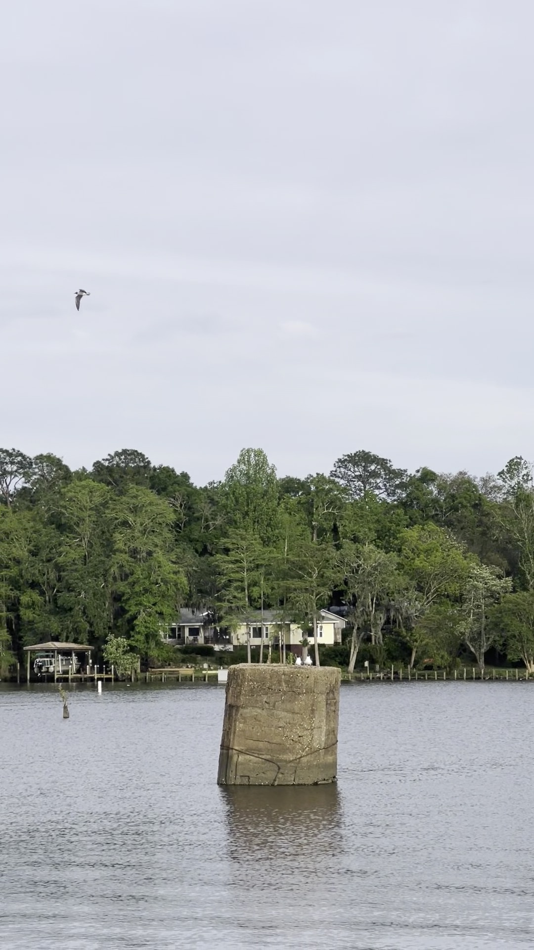 Dog River Park - Mobile, AL