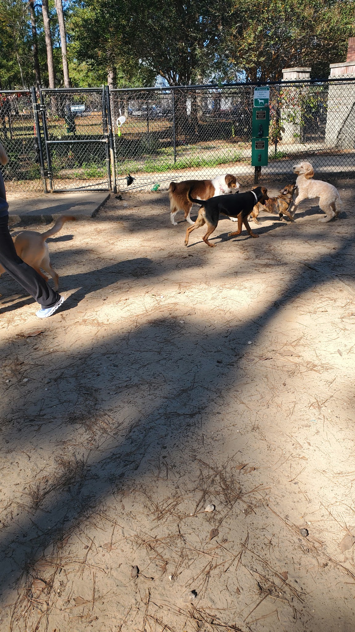 Julien Marx Dog Park @ Medal of Honor Park - Mobile, AL