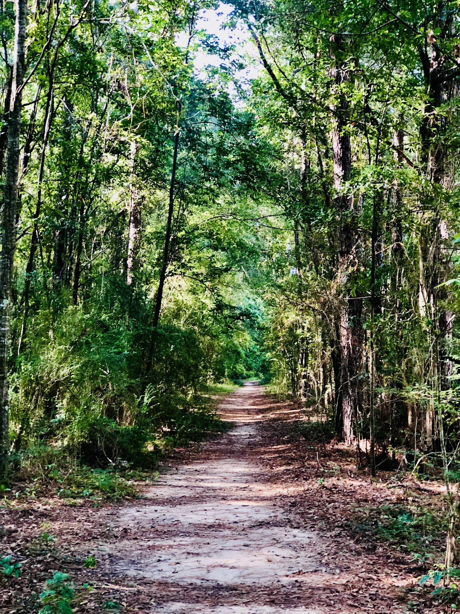 Medal of Honor Park - Mobile, AL