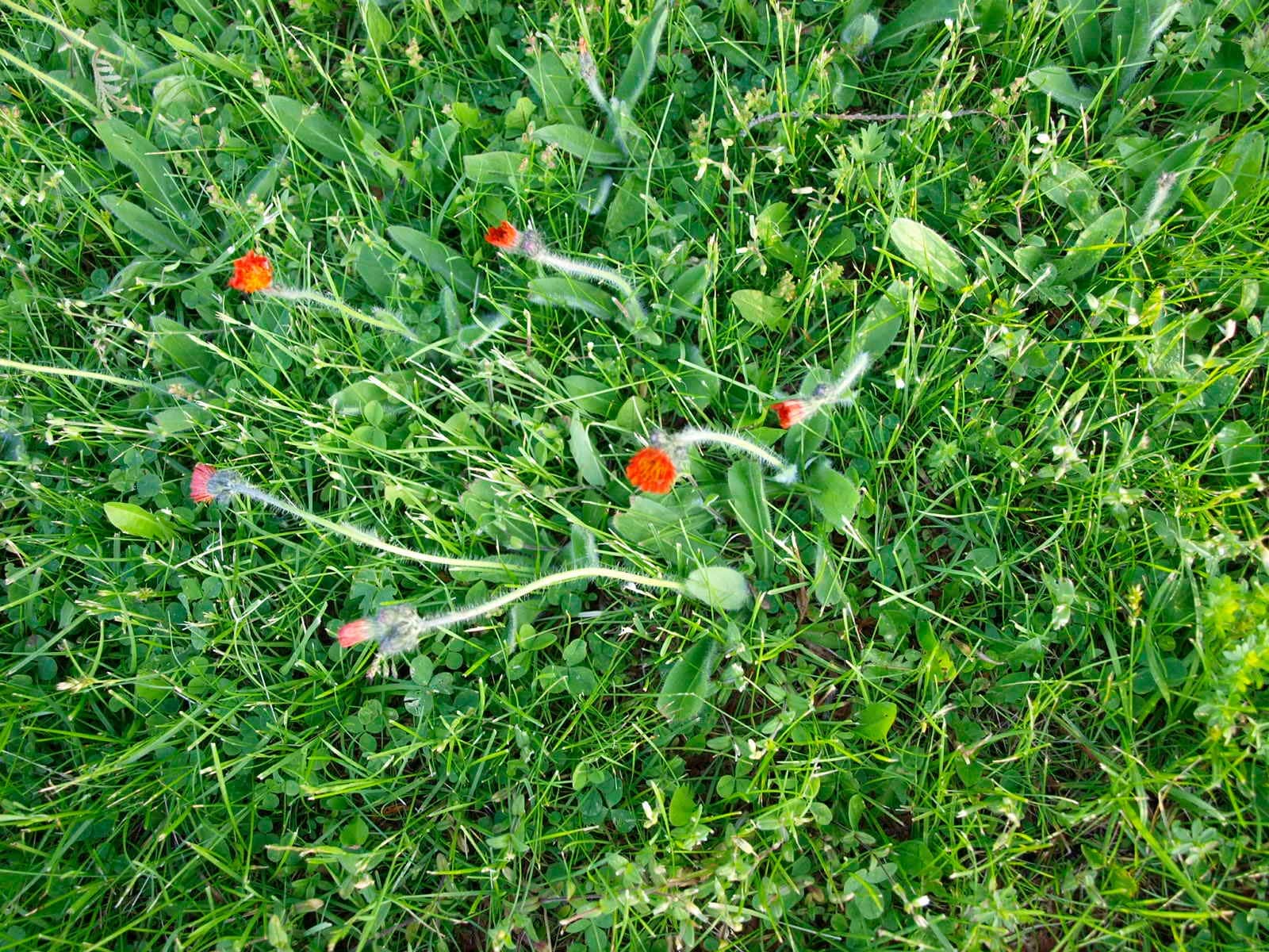 Mohawk To Fort Herkimer Bike Path - Mohawk, NY