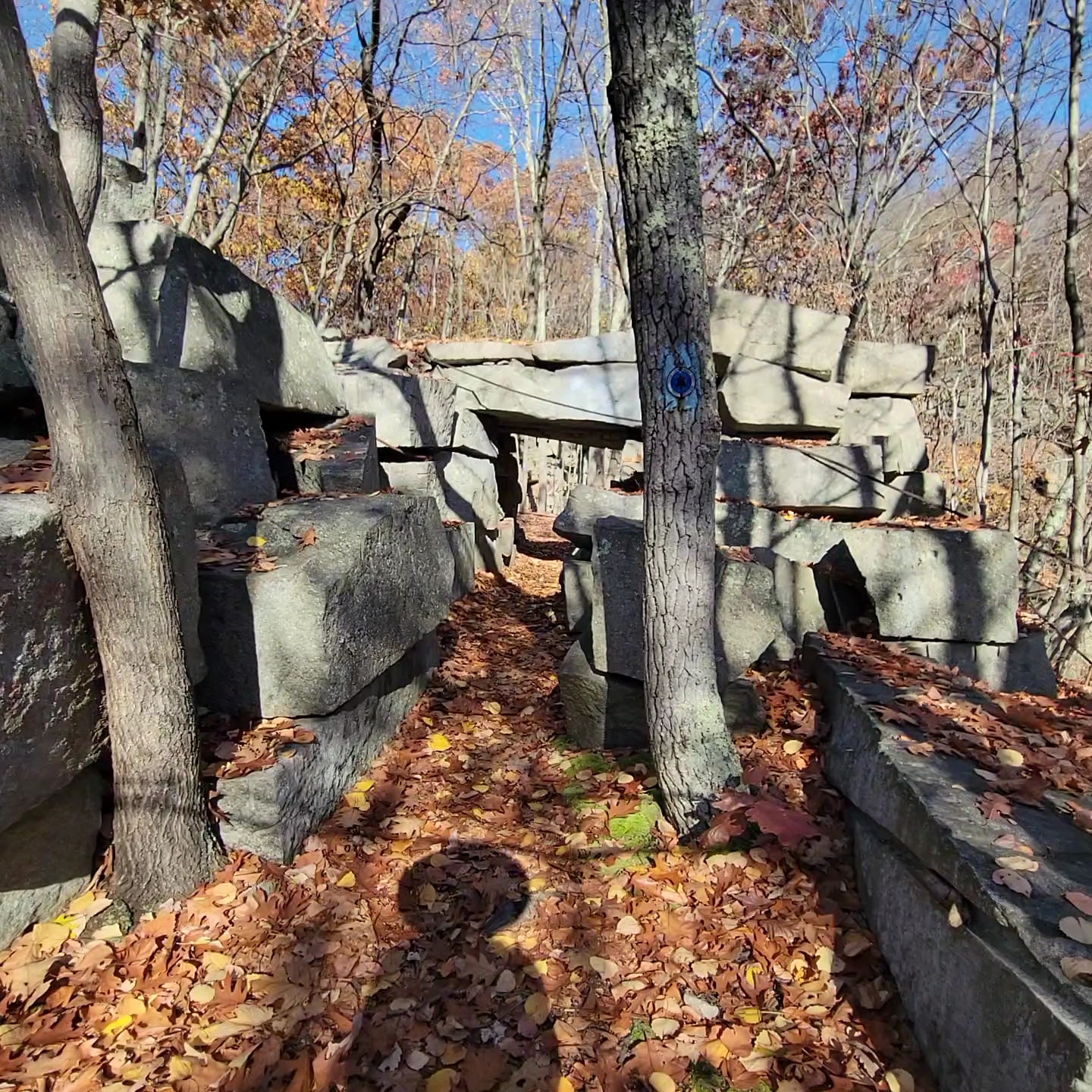 Sylvan Glen Park Preserve - Mohegan Lake, NY