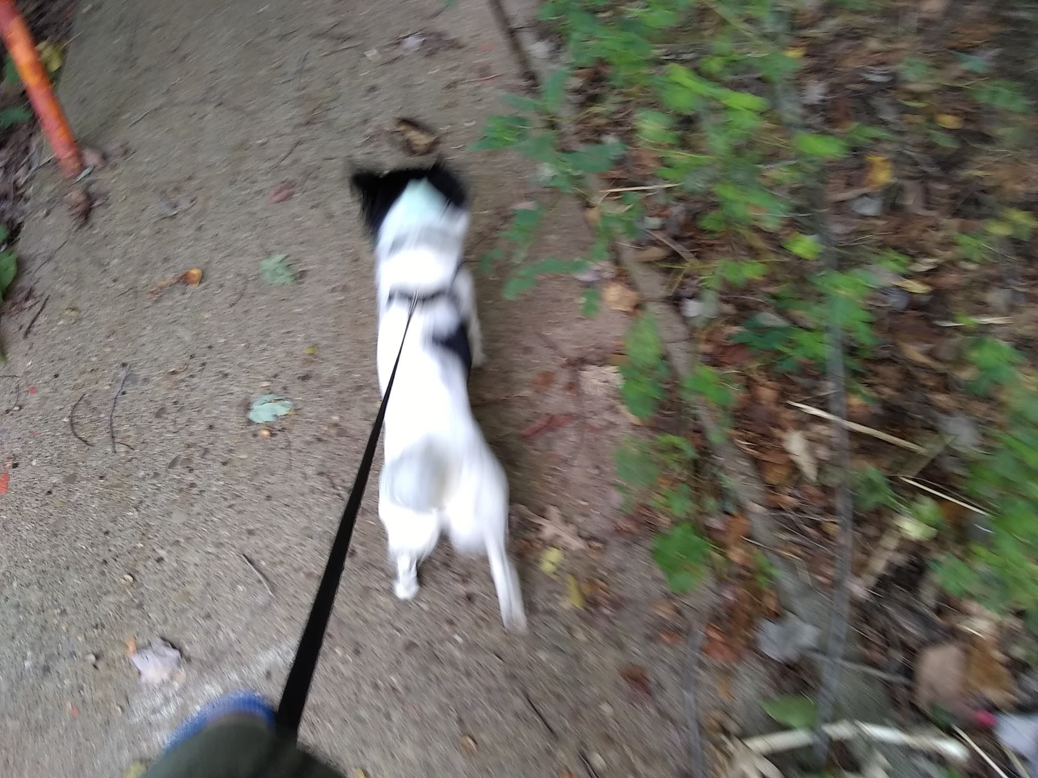 Monaca Ballfield and Park - Monaca, PA