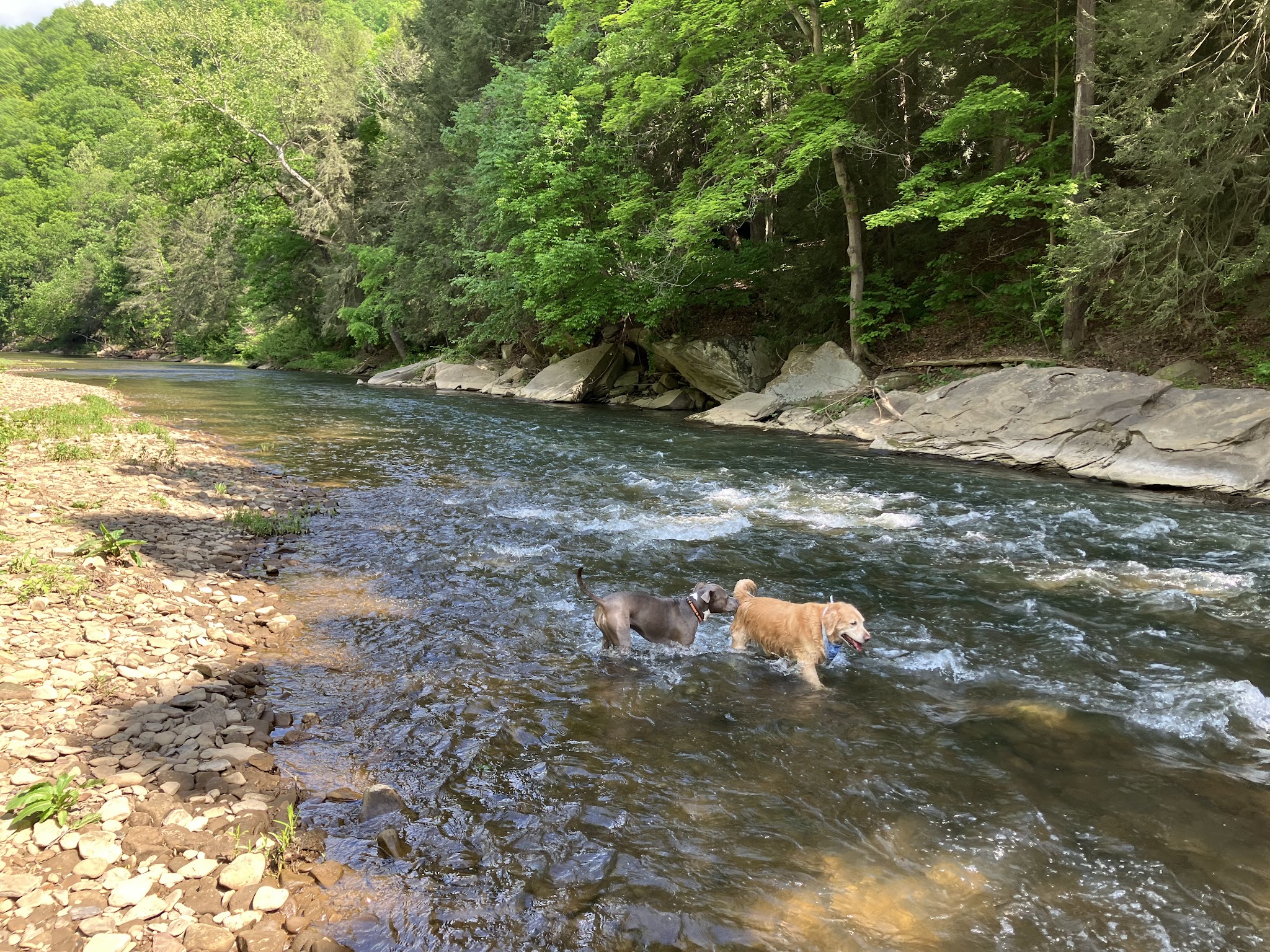 Tank Farm Recreational Area - Monaca, PA