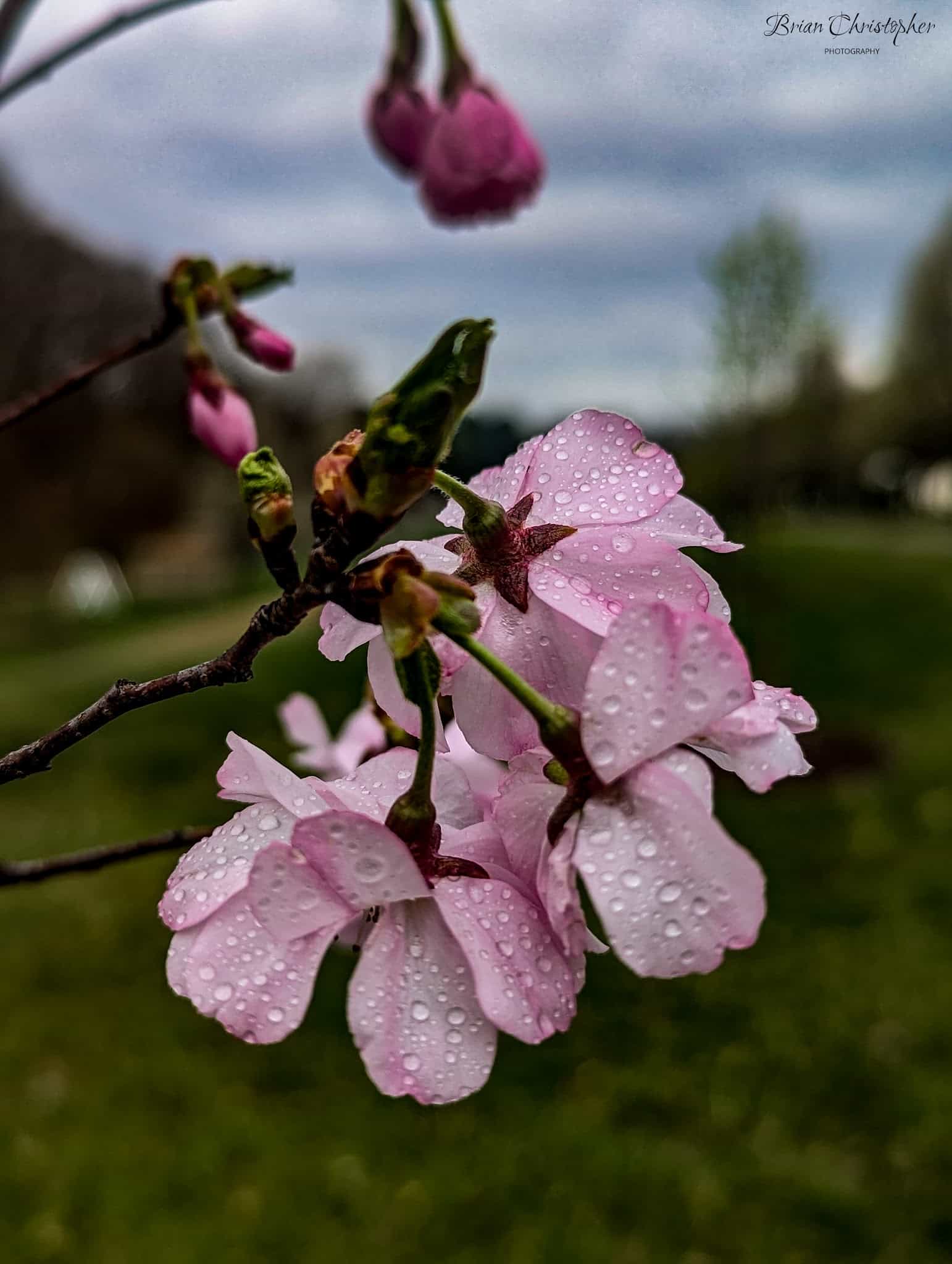 Monessen City Park - Monessen, PA