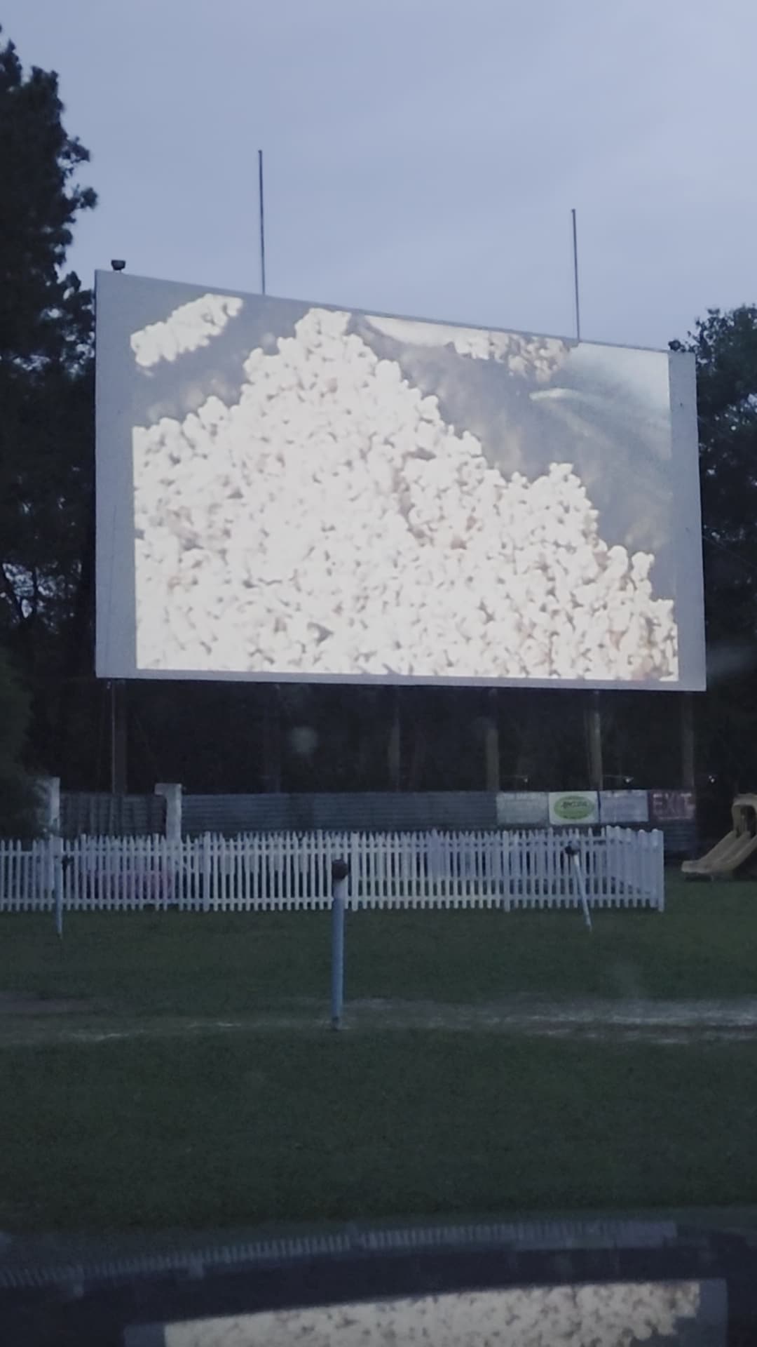 Monetta Drive In Theatre - Monetta, SC