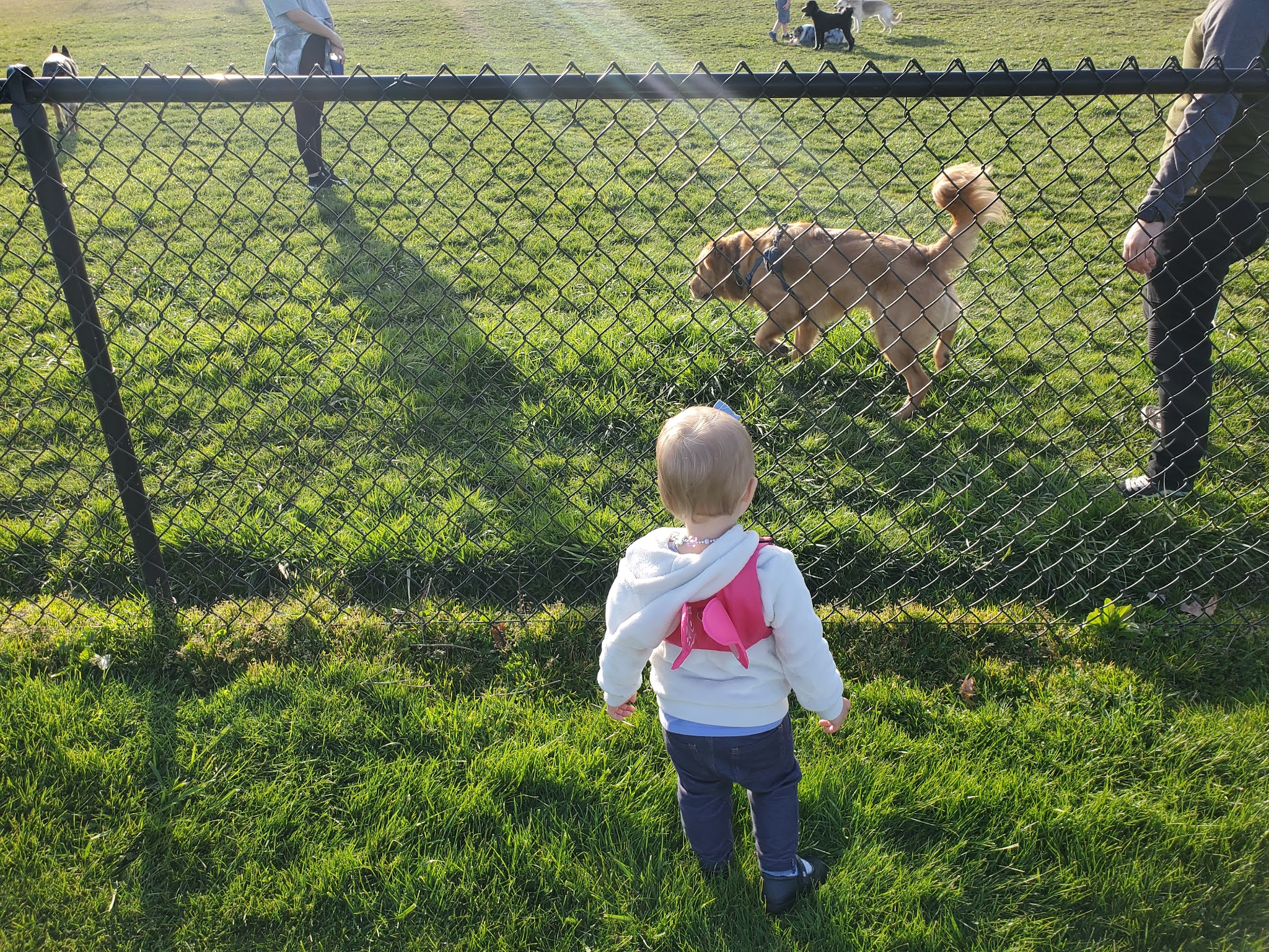 Monmouth Dog Park - Monmouth, OR
