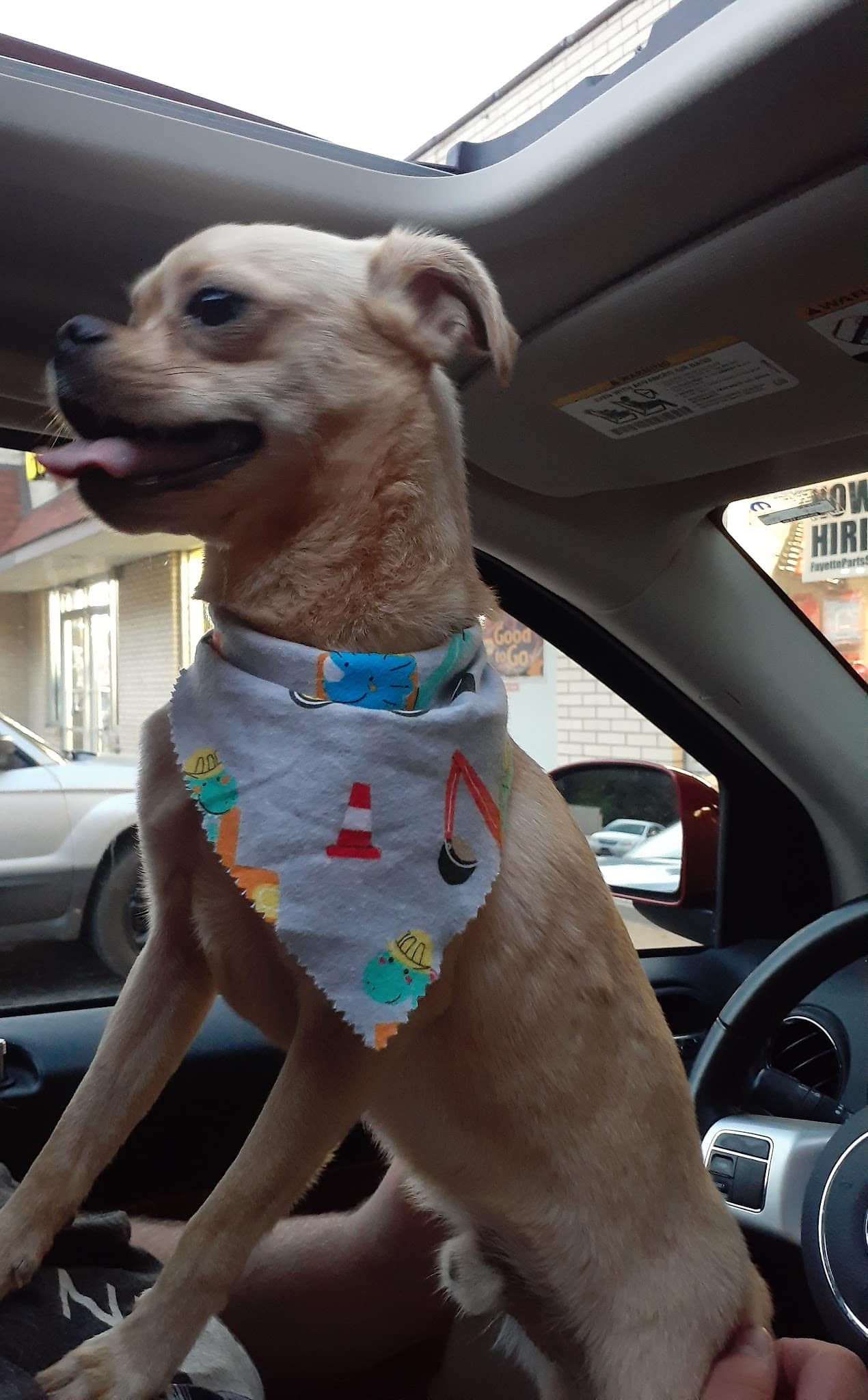 Candelore's Barking Beauties Monongahela - Monongahela, PA