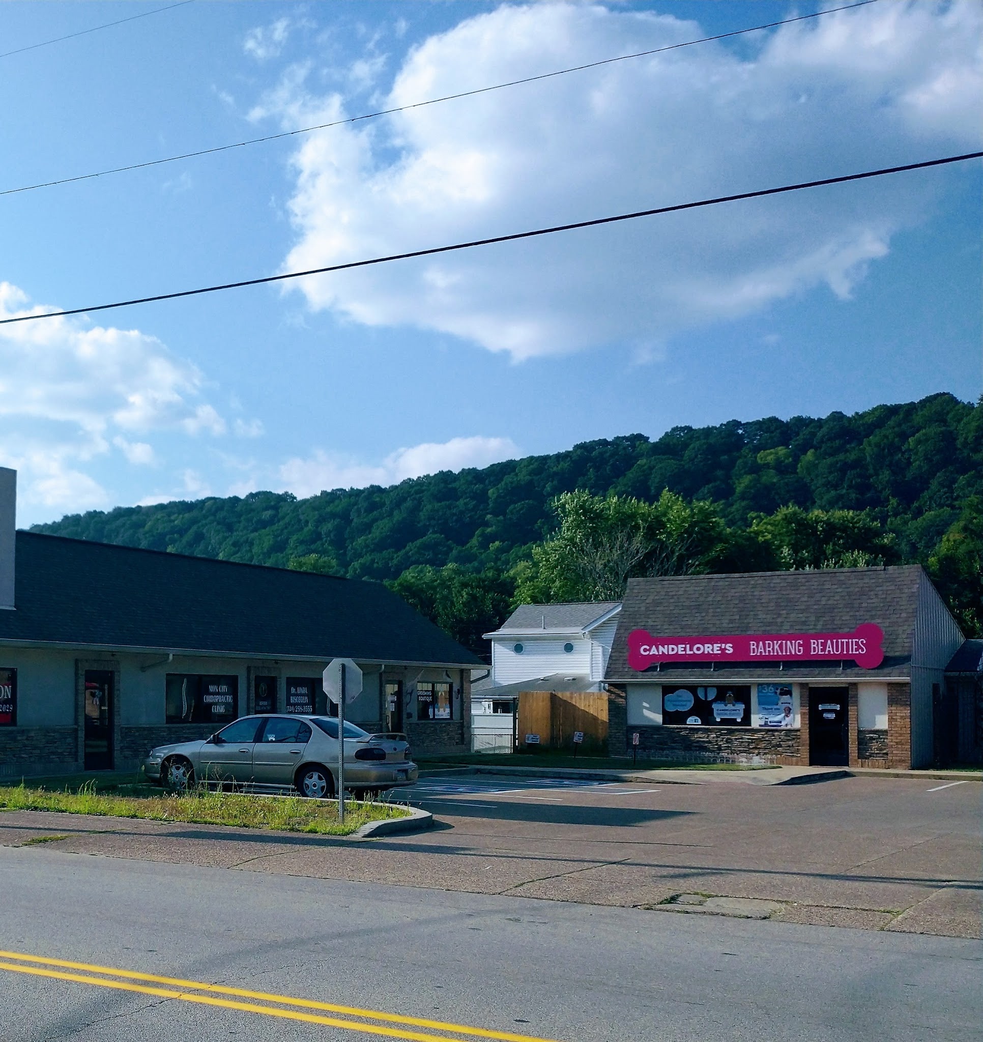 Candelore's Barking Beauties Monongahela - Monongahela, PA