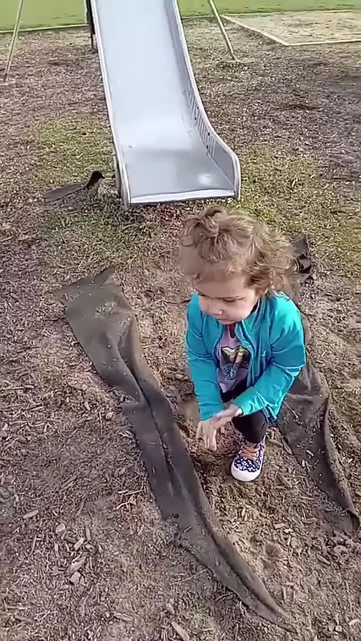 Gallatin Sunnyside Park - Monongahela, PA