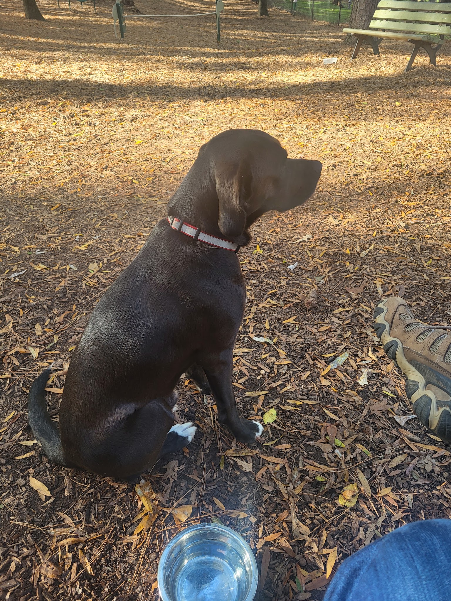 Childers Park Dog Park - Monroe, GA