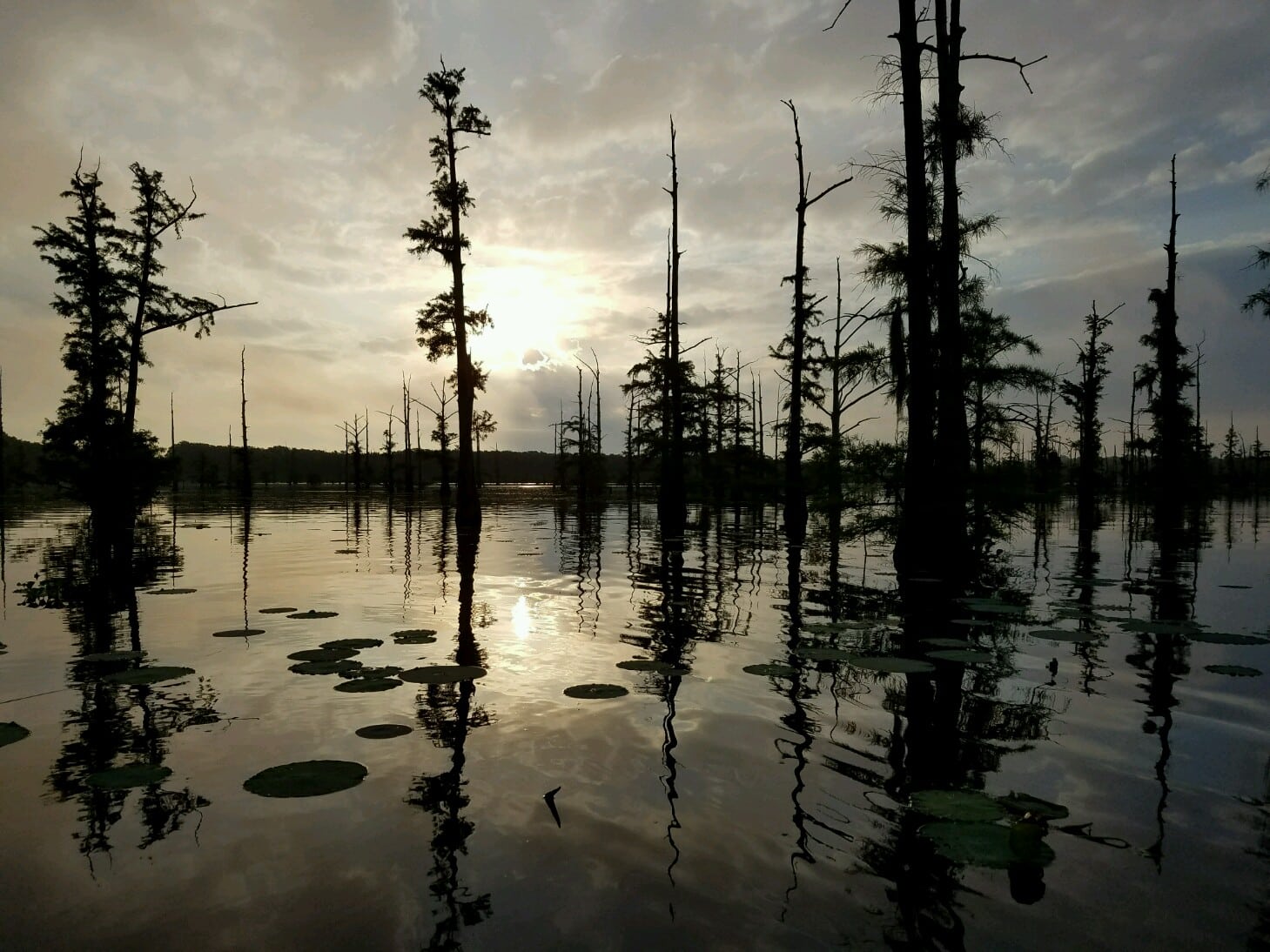 Black Bayou Lake National Wildlife Refuge Visitor Center - Monroe, LA