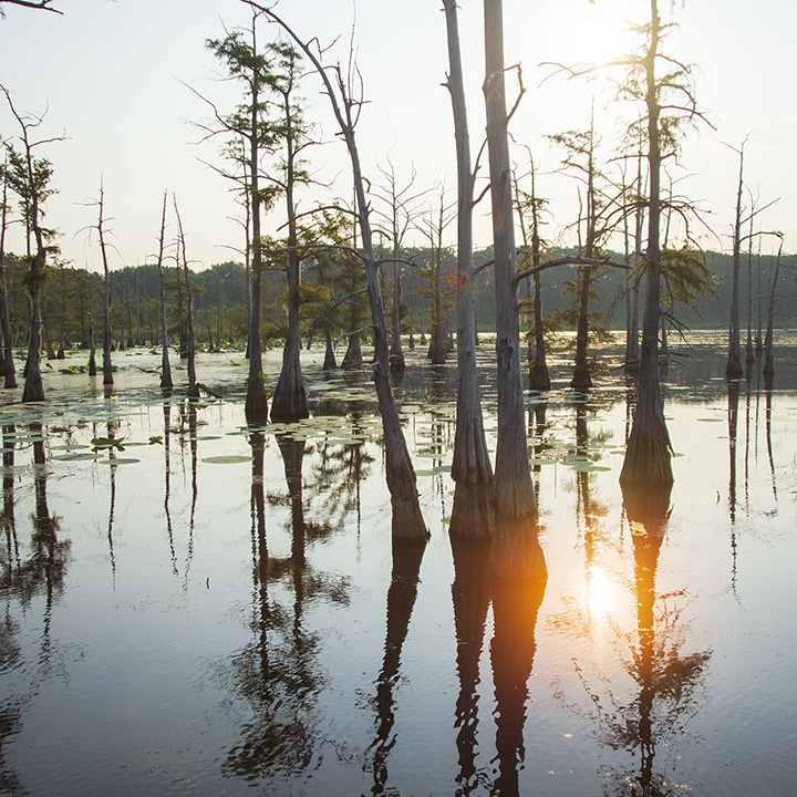 Black Bayou Lake National Wildlife Refuge Visitor Center - Monroe, LA