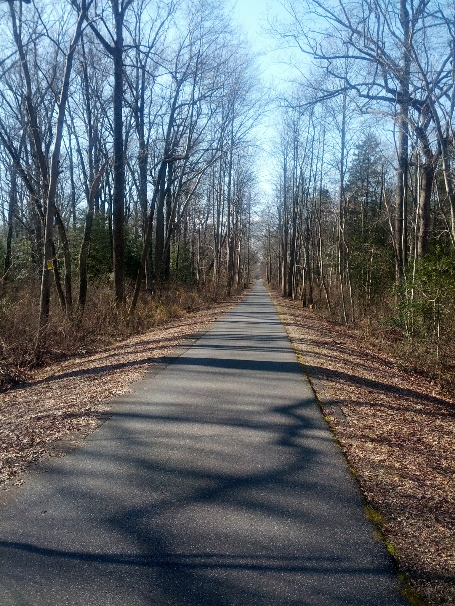 Bike Park - Monroeville, NJ