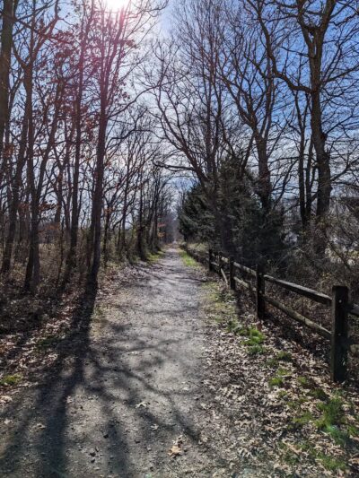 Elephant Swamp Nature Trail - Monroeville, NJ