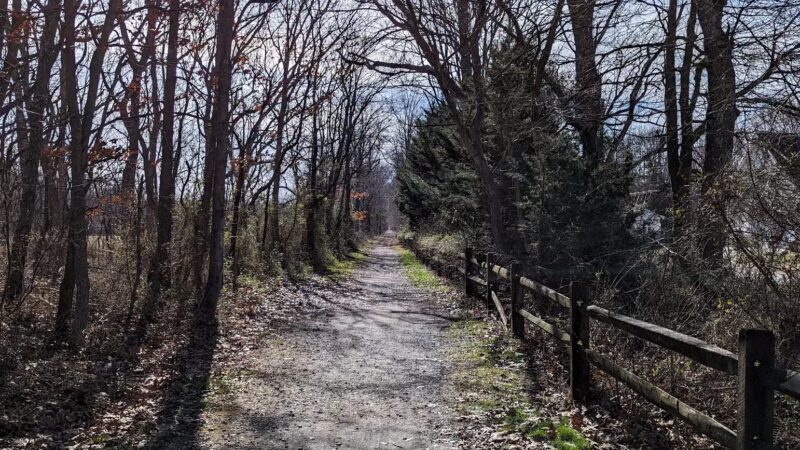 Elephant Swamp Nature Trail - Monroeville, NJ